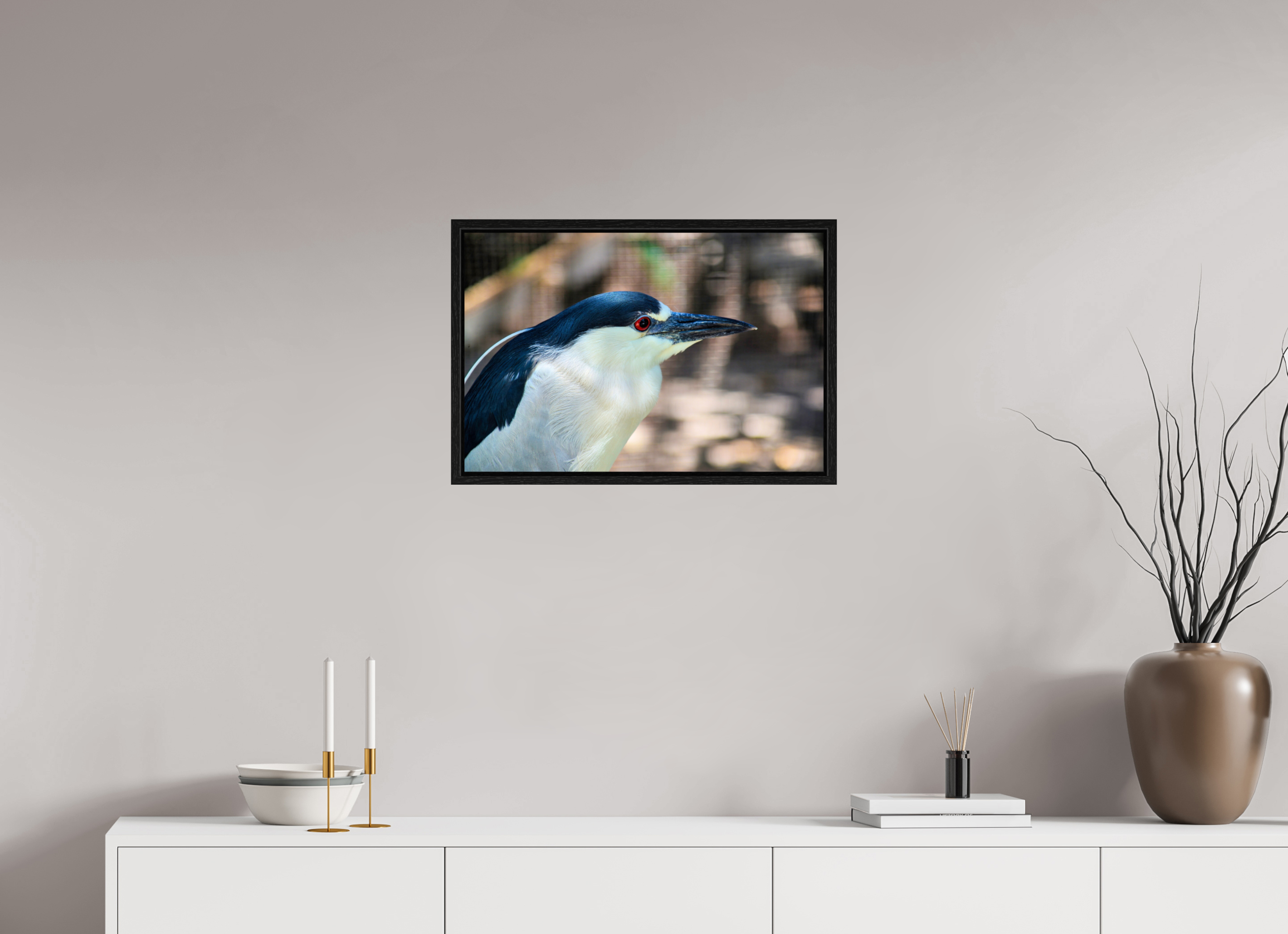 24 x 16″, Floater Frame, Basel 0.6", Black Oak, Glossy Acrylic Glass Black-crowned Night Heron