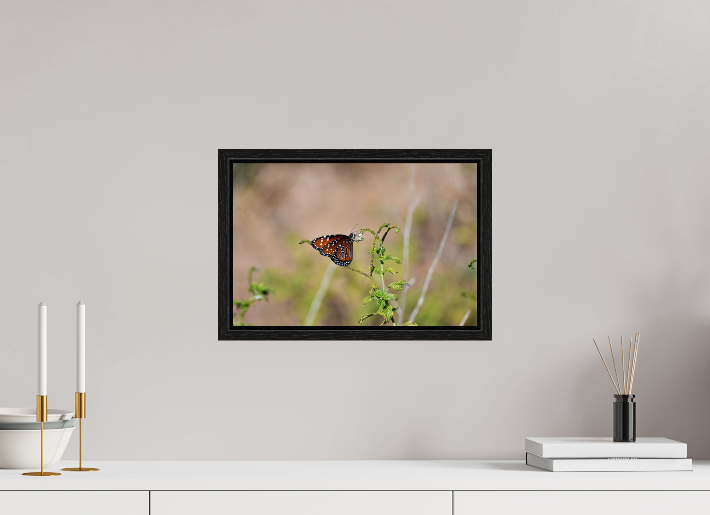 15 x 10″, Floater Frame Queen Butterfly