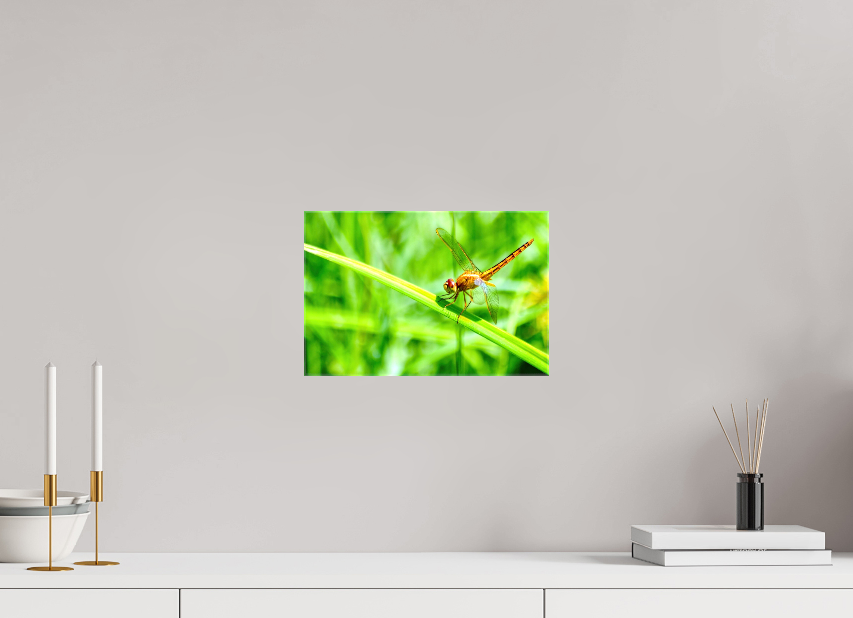 12 x 8″, Glossy Canvas on Stretcher Frame, 1,57" Wrapped Female Scarlet Skimmer
