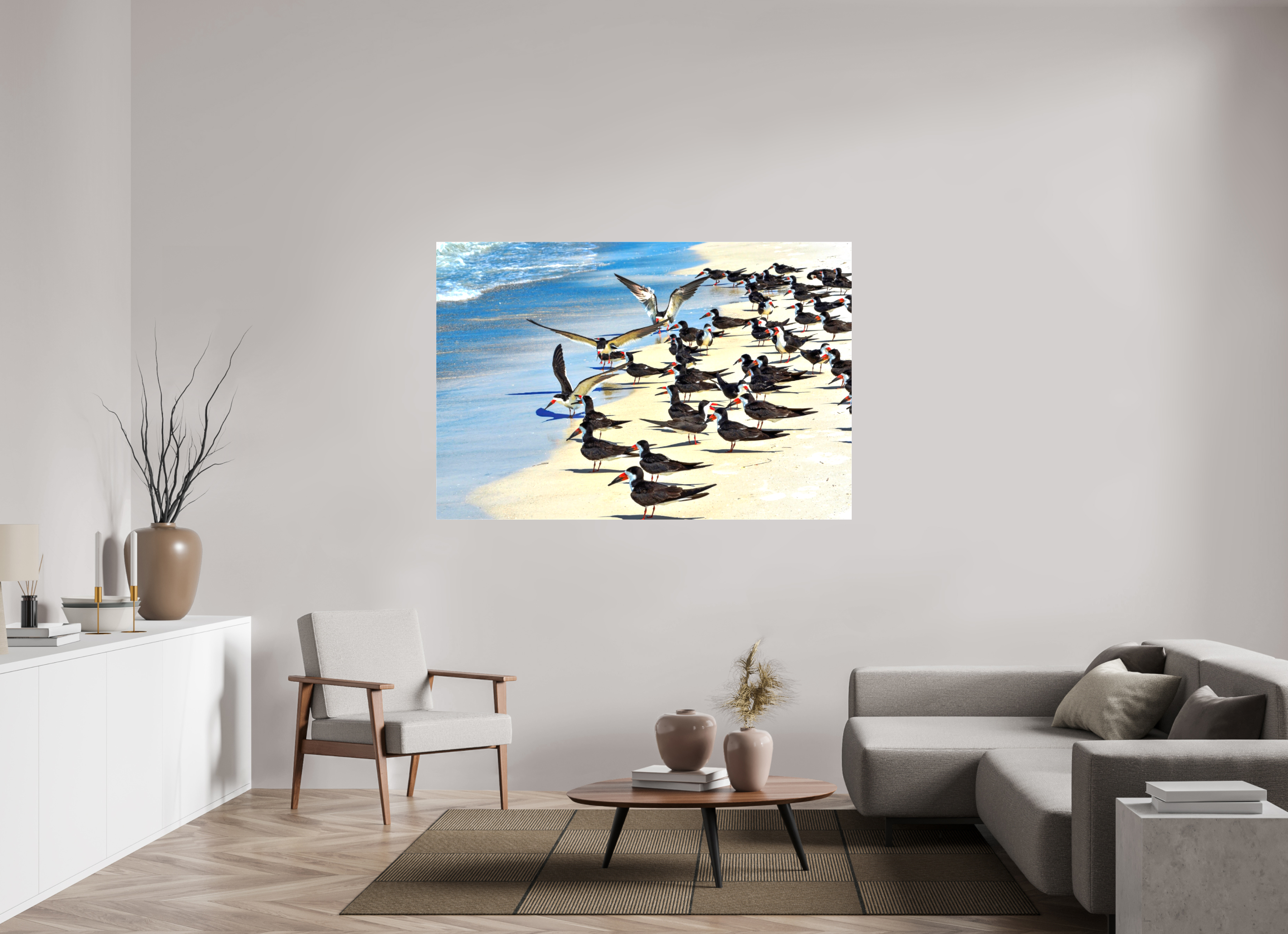66 x 44″, Glossy Canvas on Stretcher Frame, 1,57" Wrapped Shoreline Social: Black Skimmer Colony