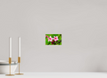 6 x 4″, Photo Print On Fuji Crystal DP II Pink Plumeria Rubra (Frangipani)