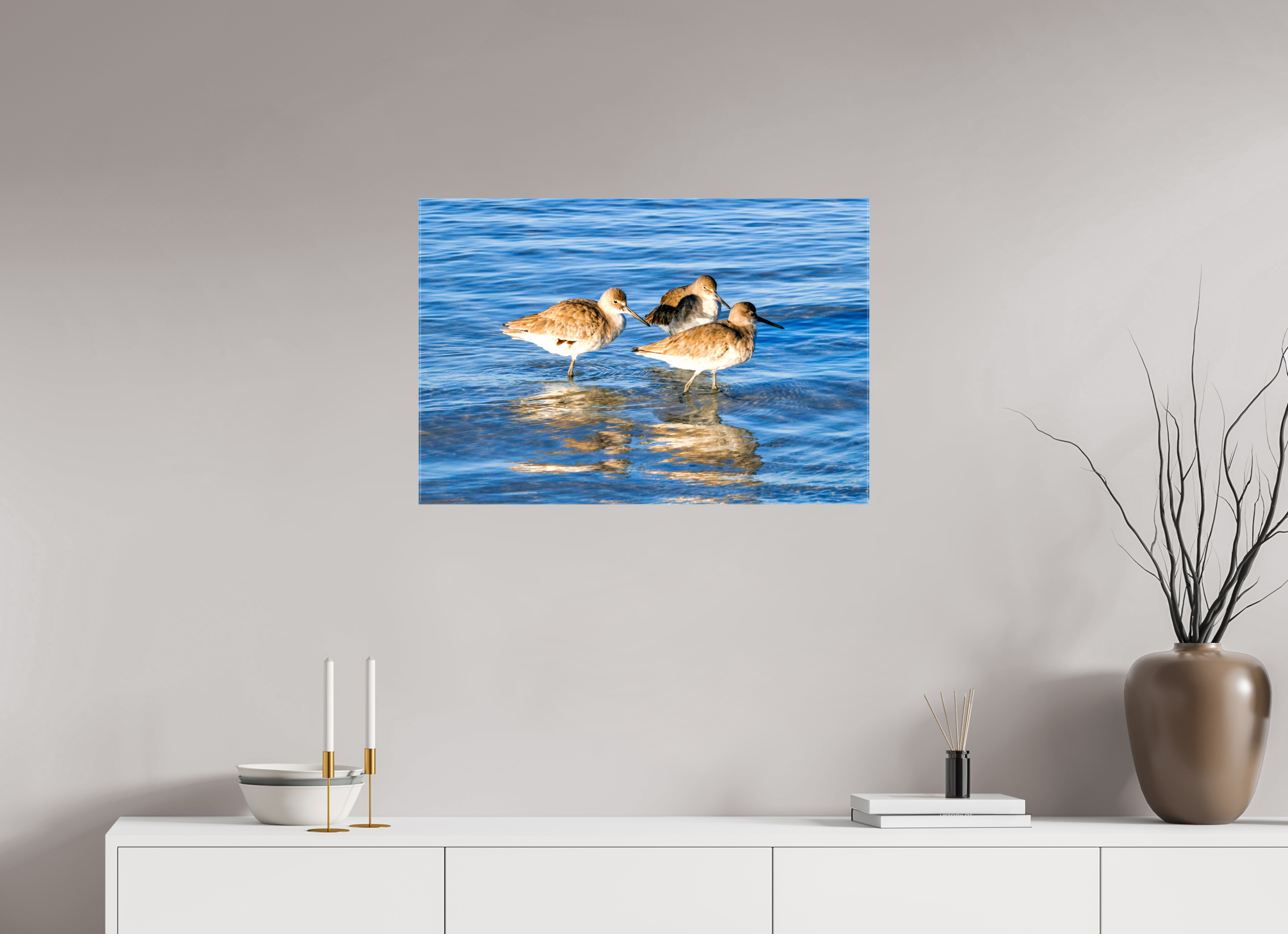 29.6 x 20″, Glossy Canvas on Stretcher Frame, 1,57" Wrapped The Shoreline Trio: Willets in the Surf
