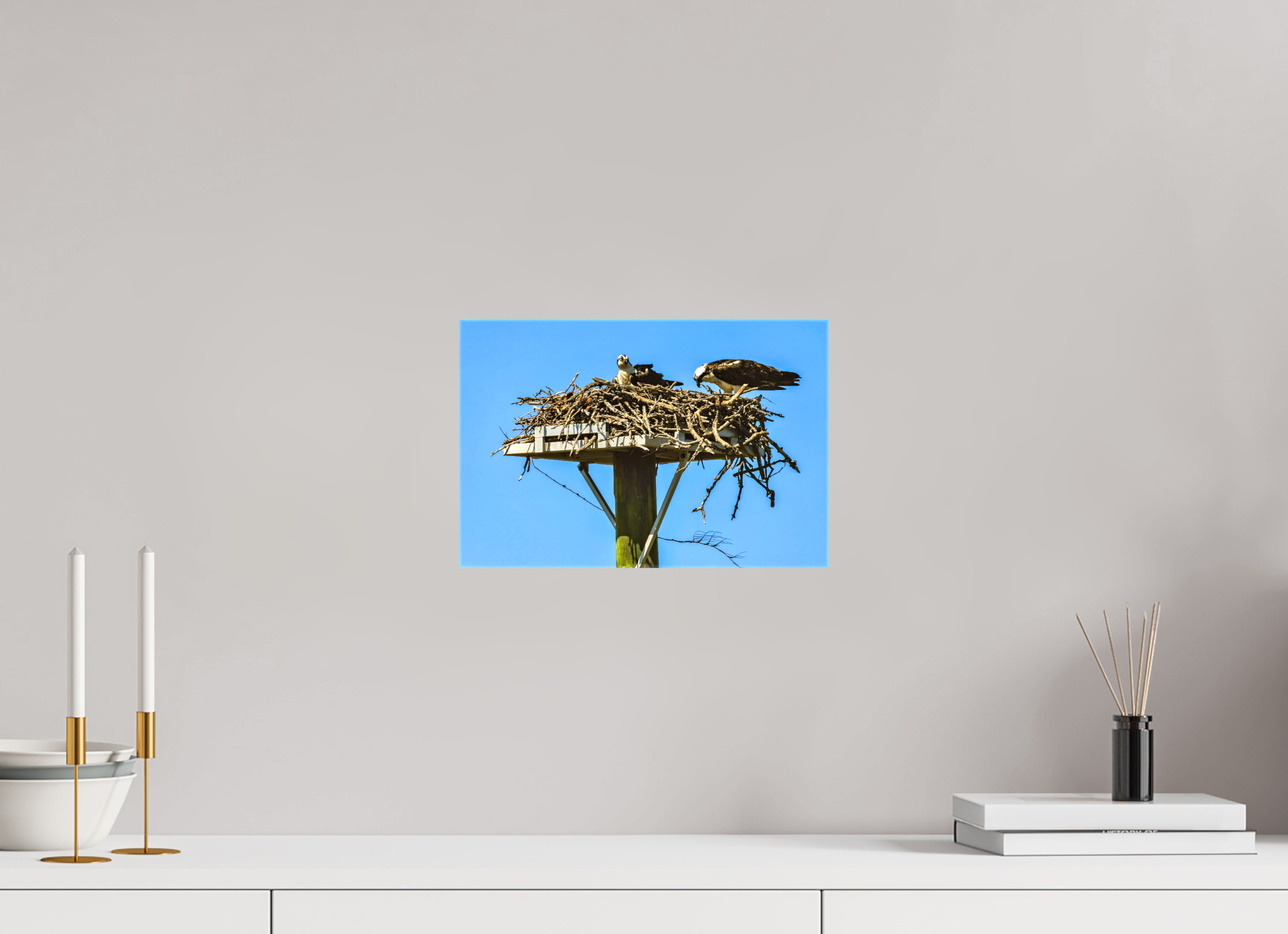 12 x 8″, Glossy Canvas on Stretcher Frame, 1,57" Wrapped Osprey Outlook