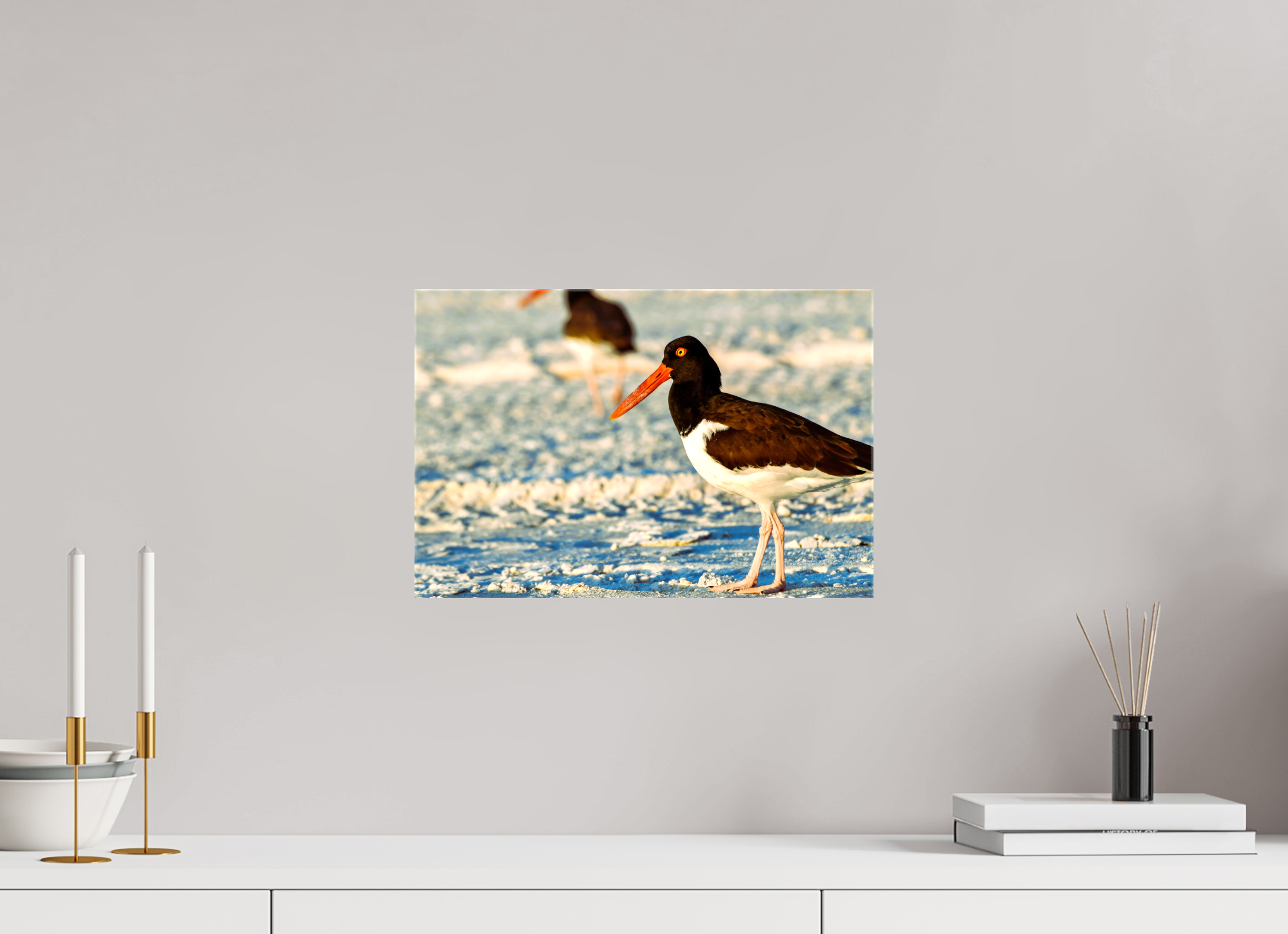 15 x 10″, Glossy Canvas on Stretcher Frame, 1,57" Wrapped Oystercatcher Stroll