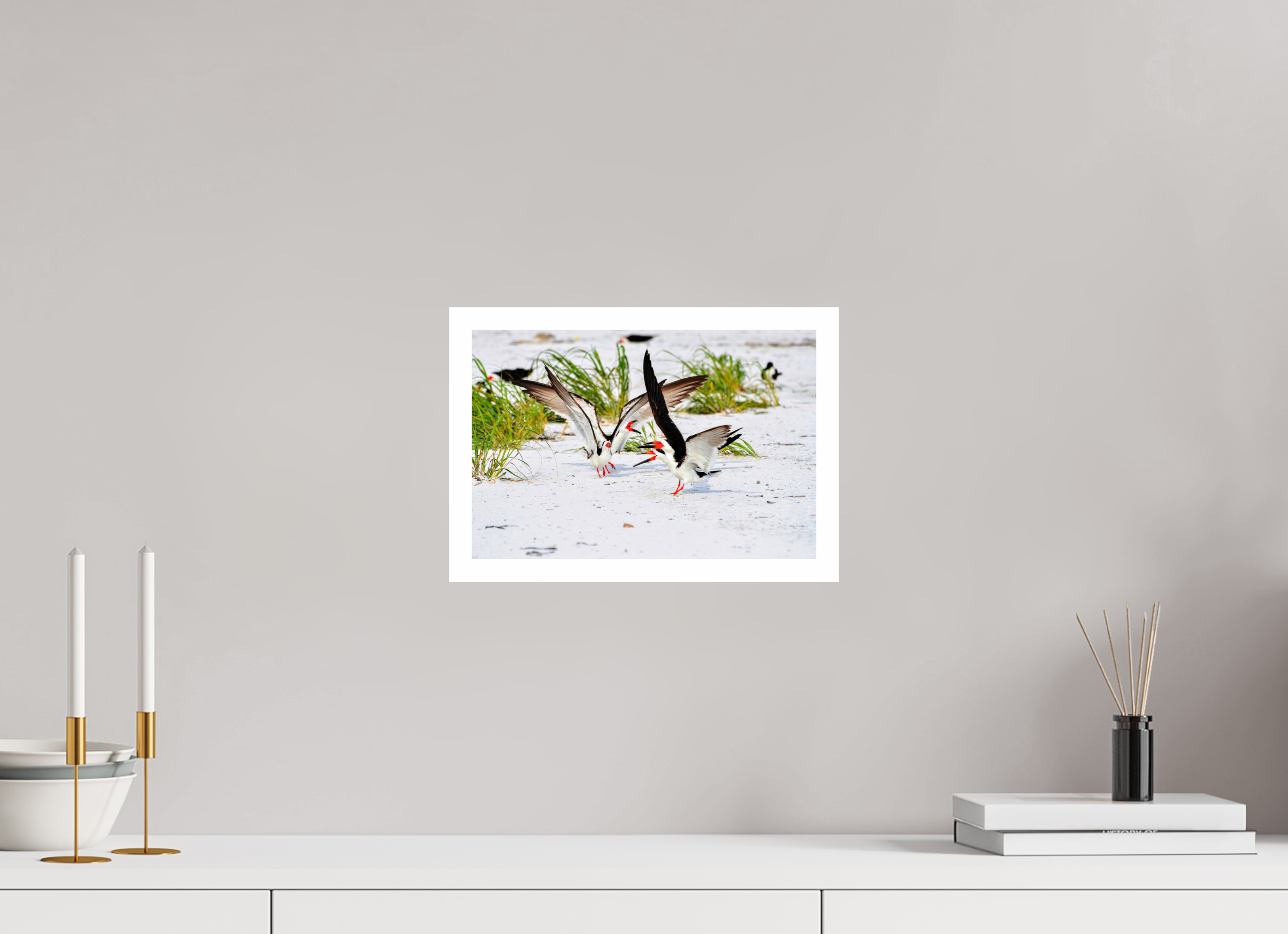12 x 8″, Hahnemühle FineArt Pearl Print, .79" white border The Skimmer Dance