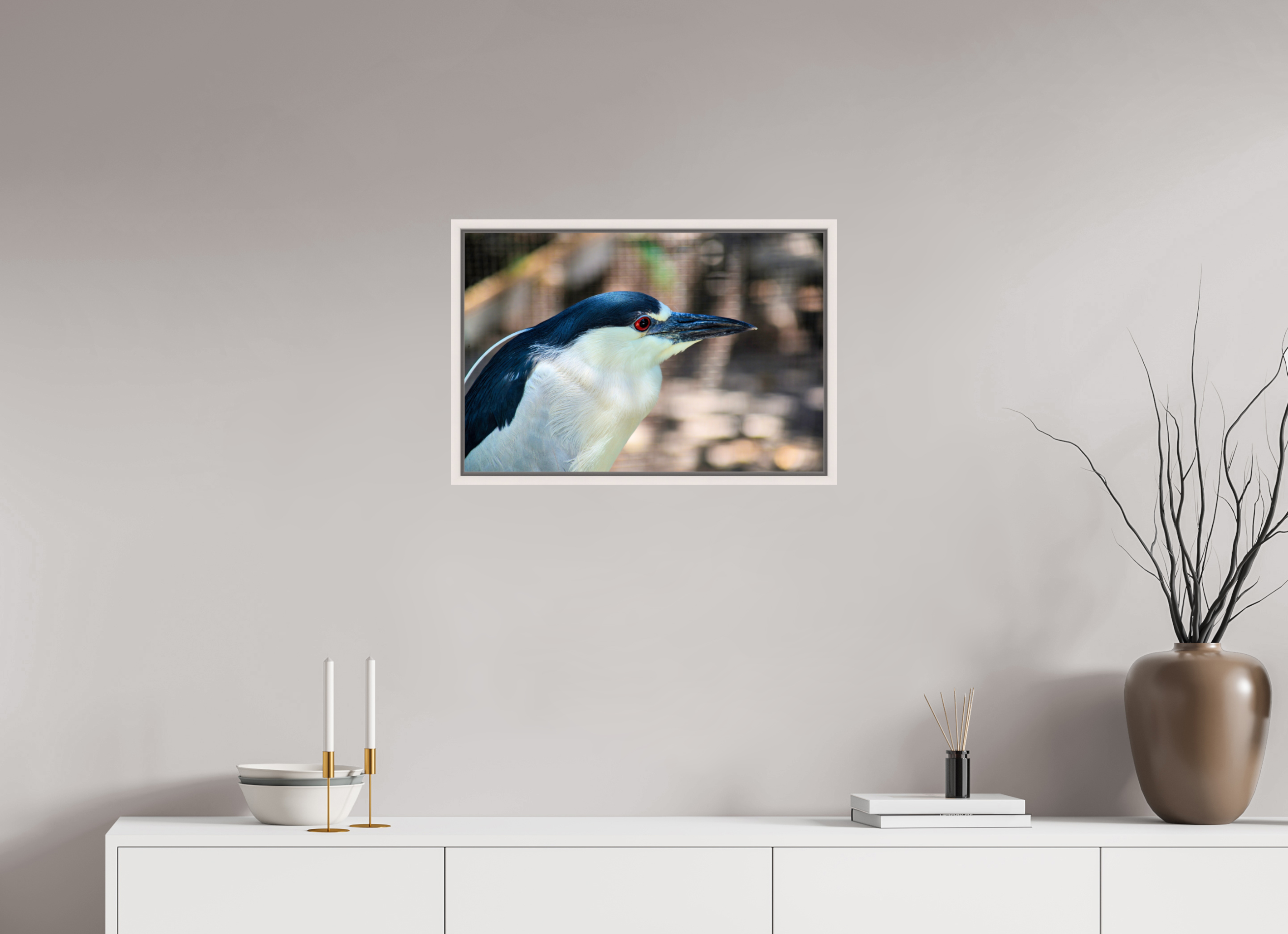 24 x 16″, Floater Frame, Basel 0.6", Maple White, Glossy Acrylic Glass Black-crowned Night Heron