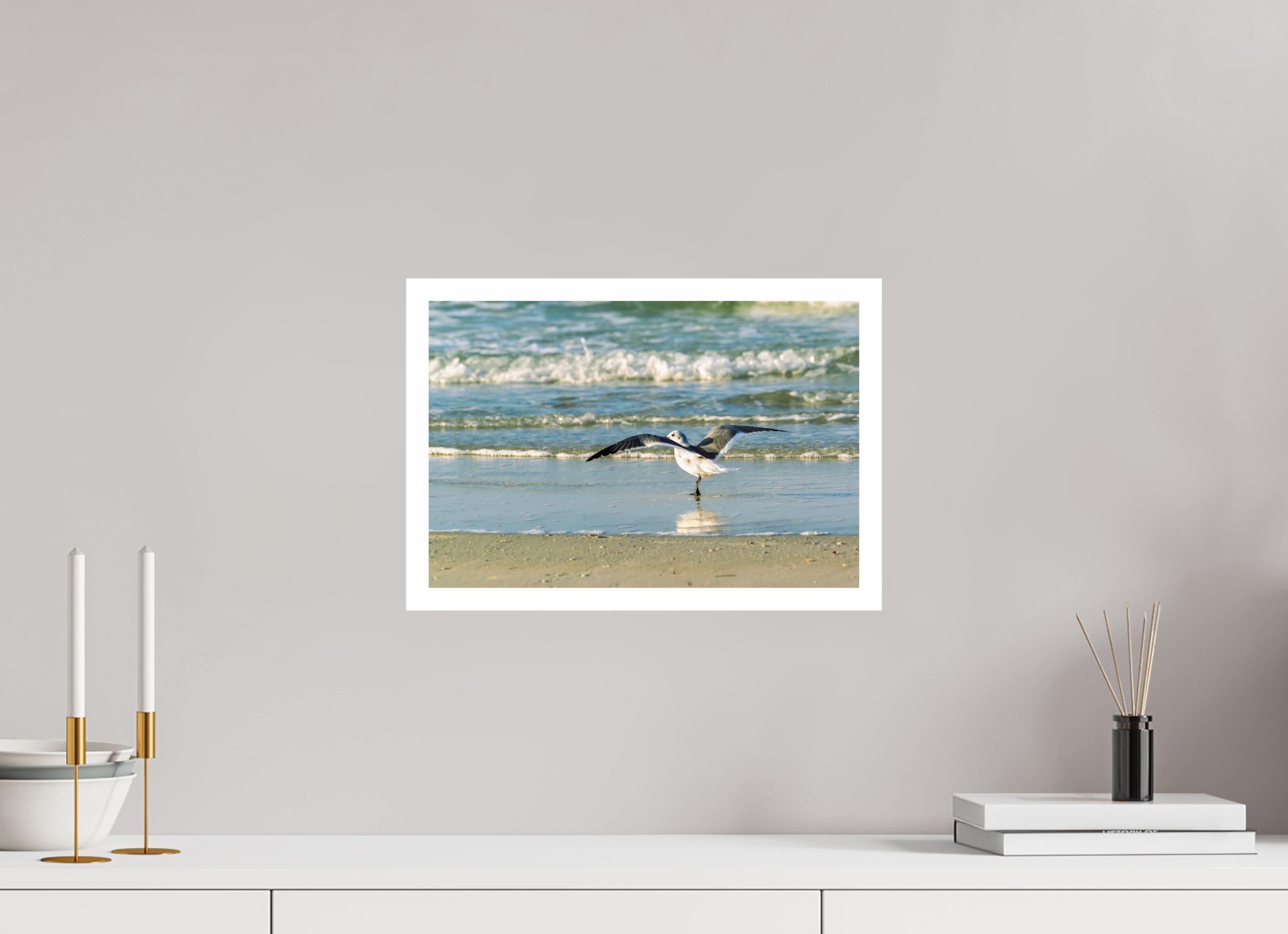 15 x 10″, Hahnemühle FineArt Pearl Print, .79" white border Laughing Gull in Motion