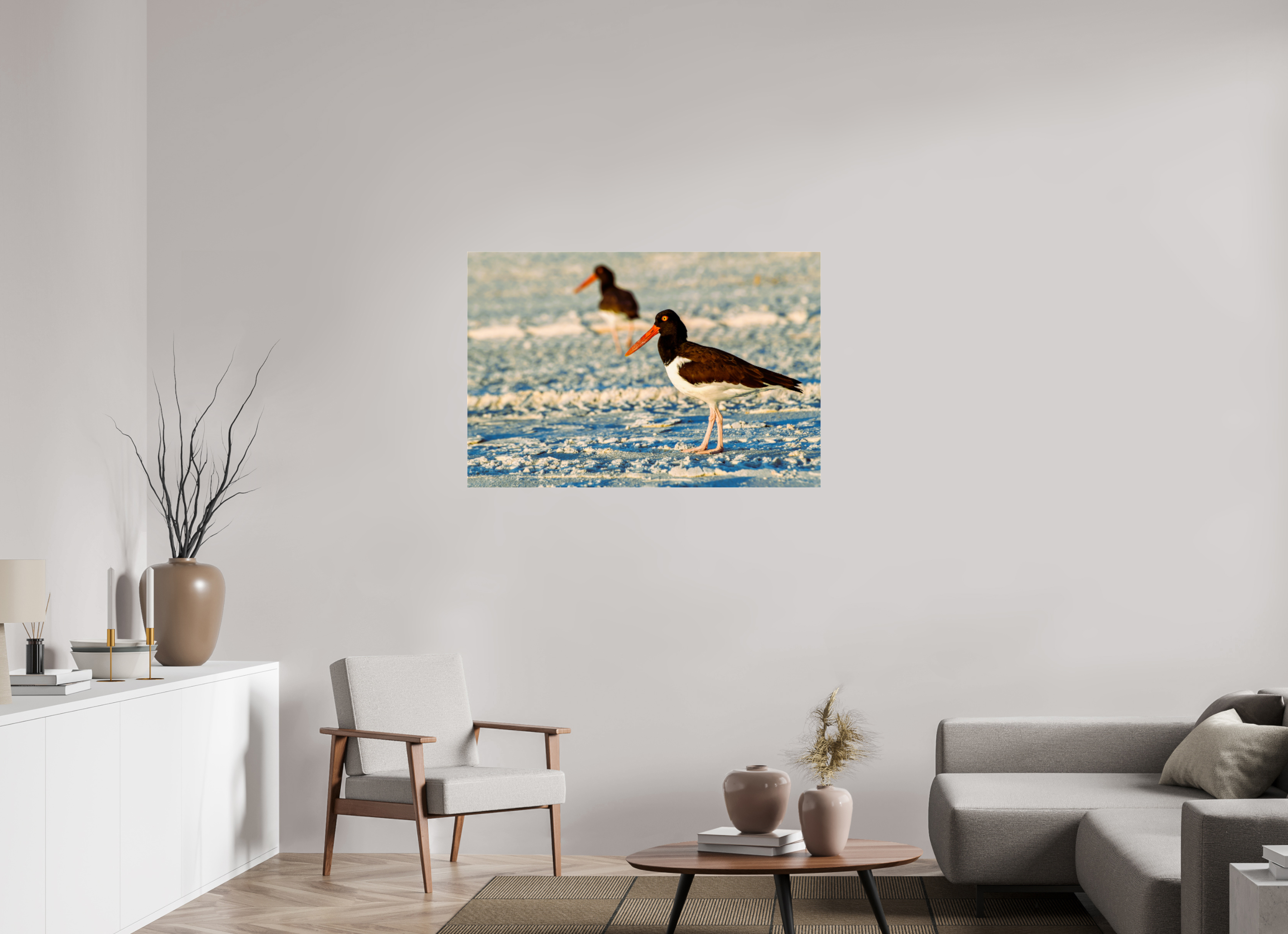 45 x 30″, Metallic Photo Print Under Acrylic Glass Oystercatcher Stroll