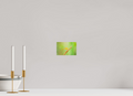 6 x 4″, Photo Print On Fuji Crystal DP II Sun-Drenched Golden Scarlet Skimmer
