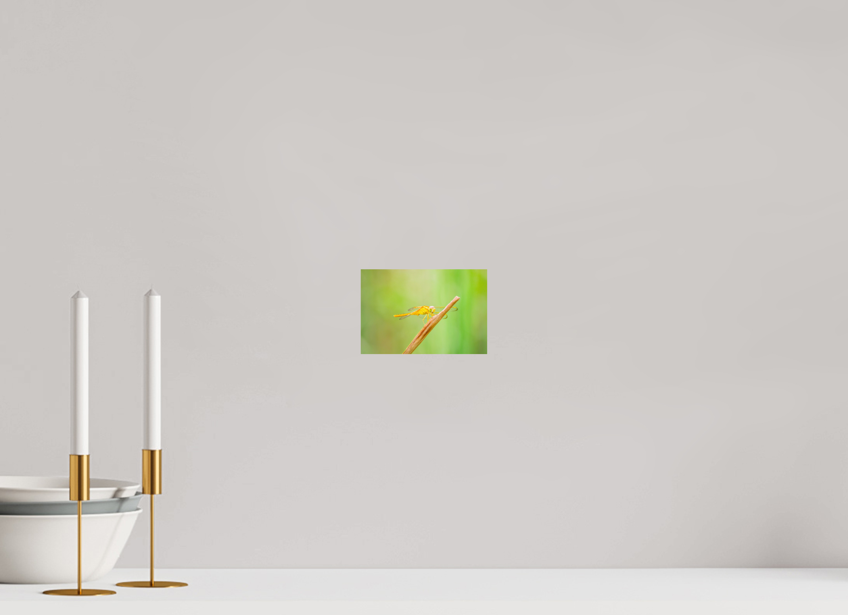 6 x 4″, Photo Print On Fuji Crystal DP II Sun-Drenched Golden Scarlet Skimmer