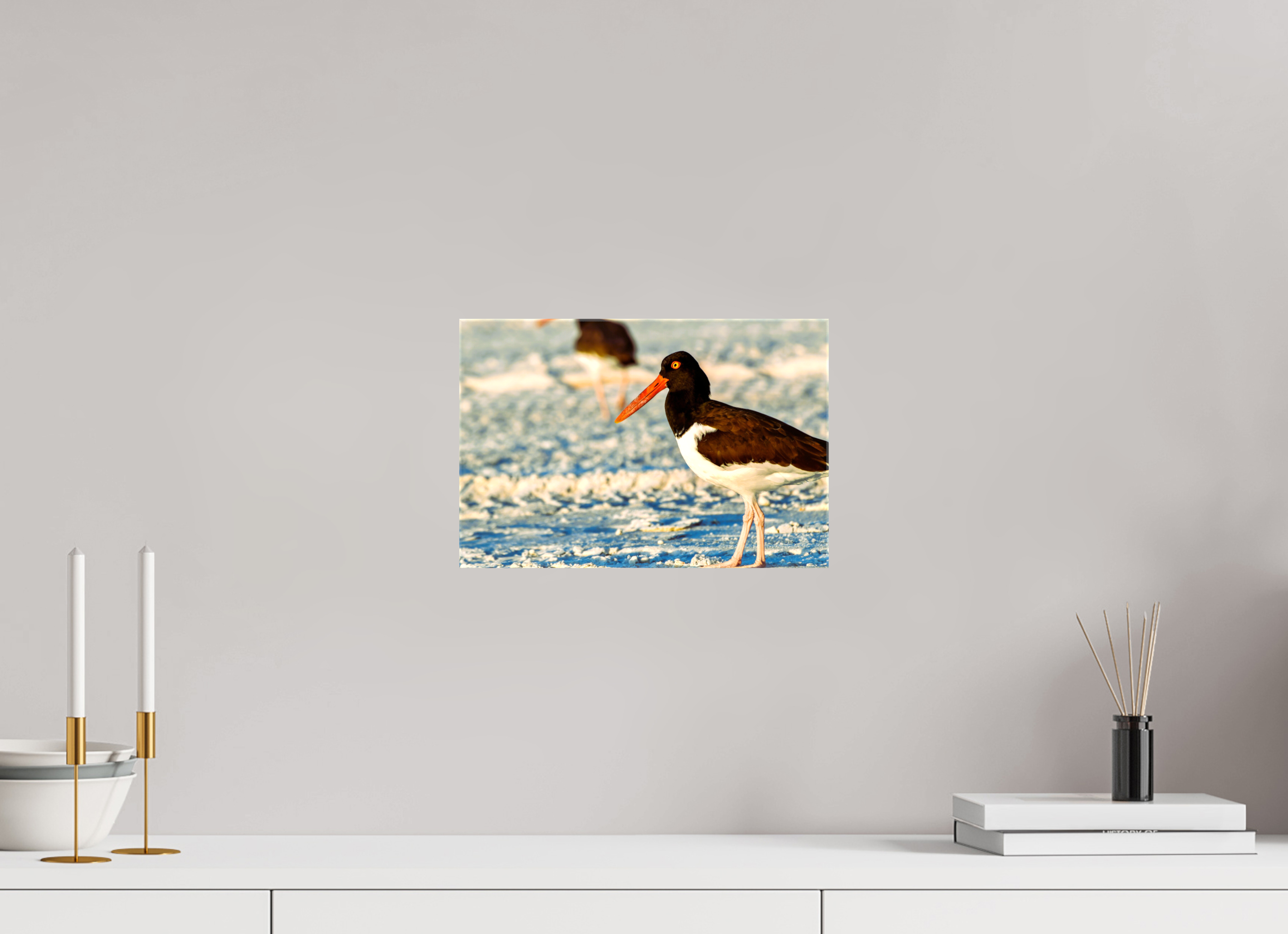 12 x 8″, Glossy Canvas on Stretcher Frame, 1,57" Wrapped Oystercatcher Stroll