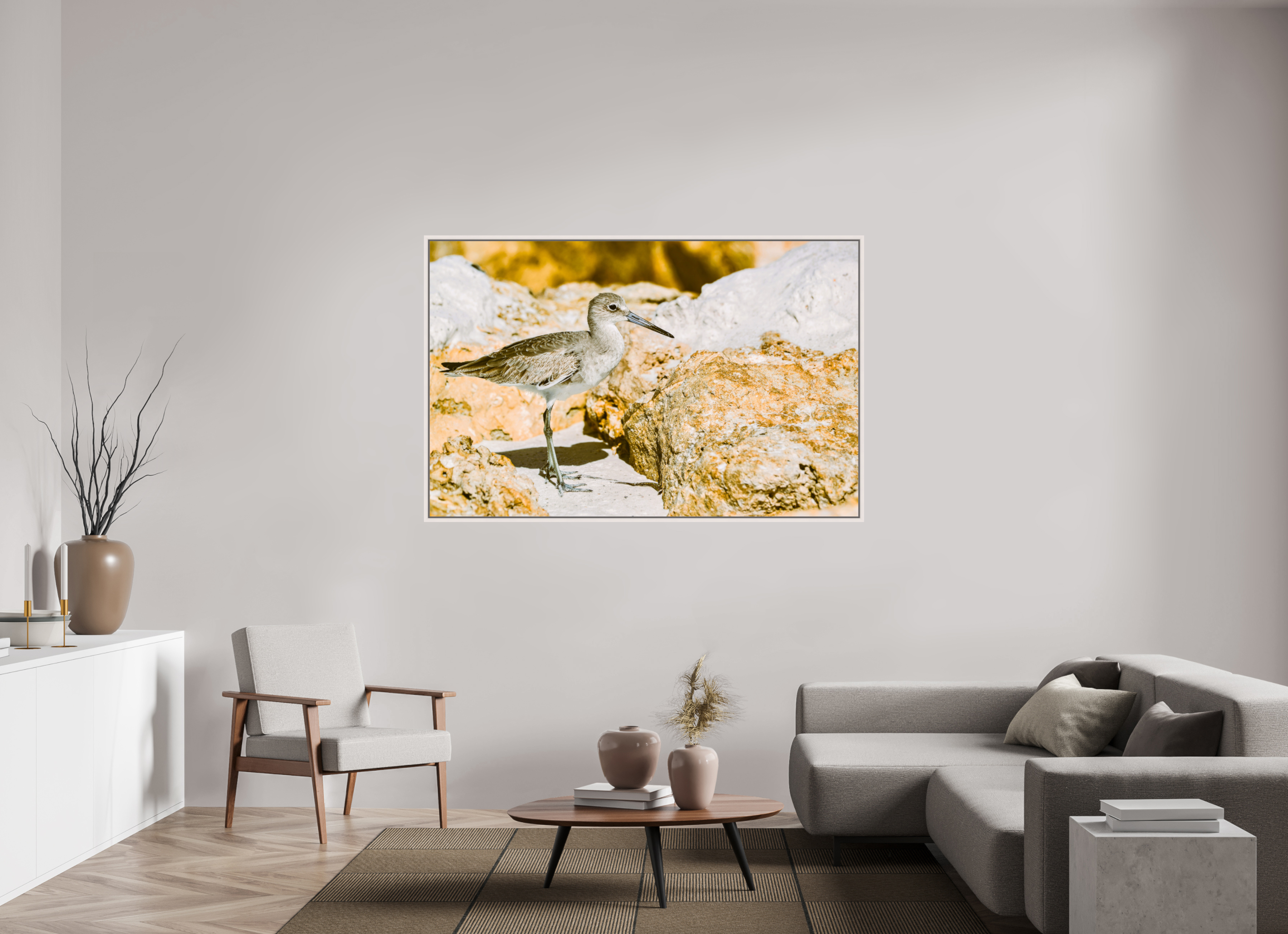 66.9 x 43″, Floater Frame, Basel 0.6", Maple White, Glossy Acrylic Glass The Sunny Willet