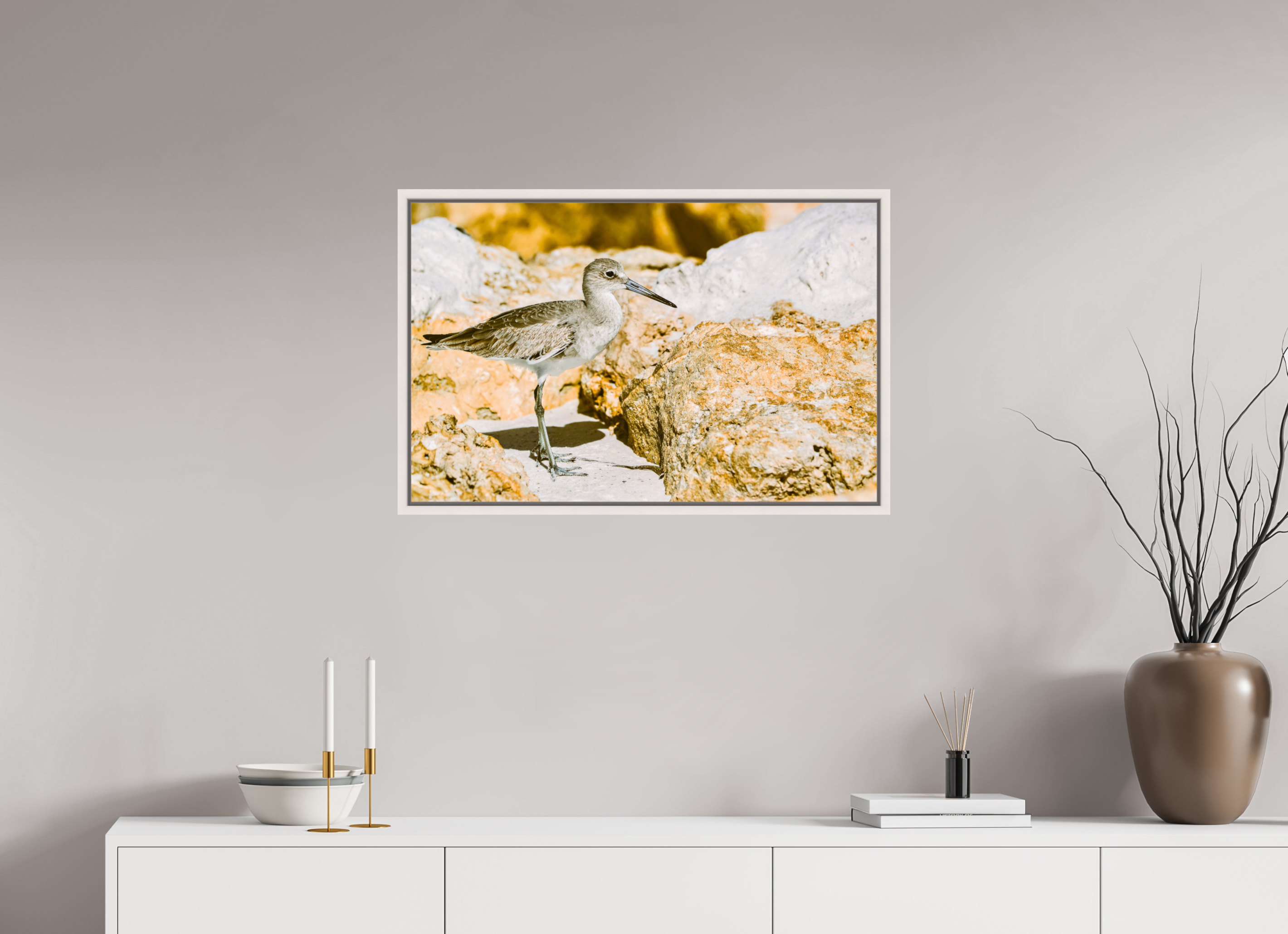 31.1 x 20″, Floater Frame, Basel 0.6", Maple White, Glossy Acrylic Glass The Sunny Willet