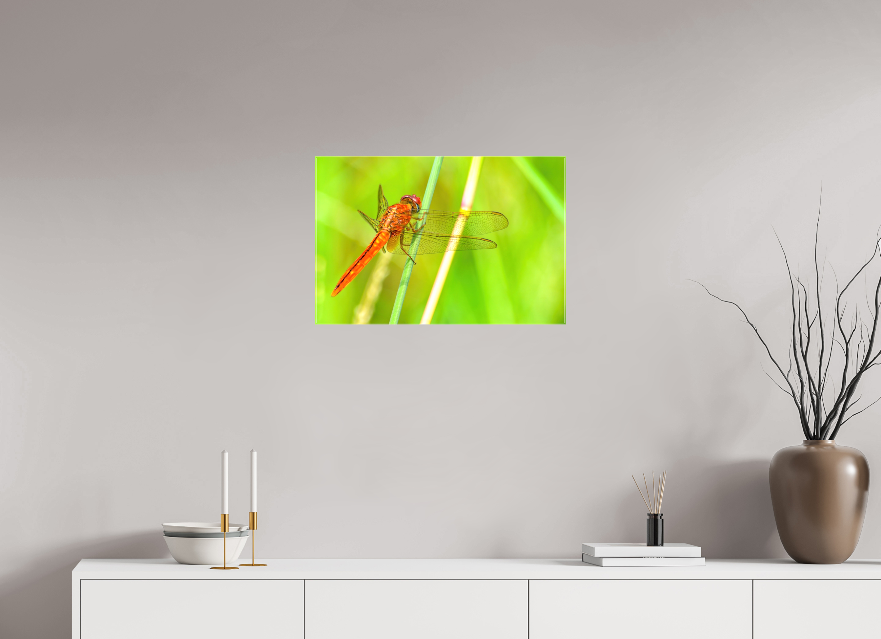24 x 16″, Glossy Canvas on Stretcher Frame, 1,57" Wrapped Resting Scarlet Skimmer