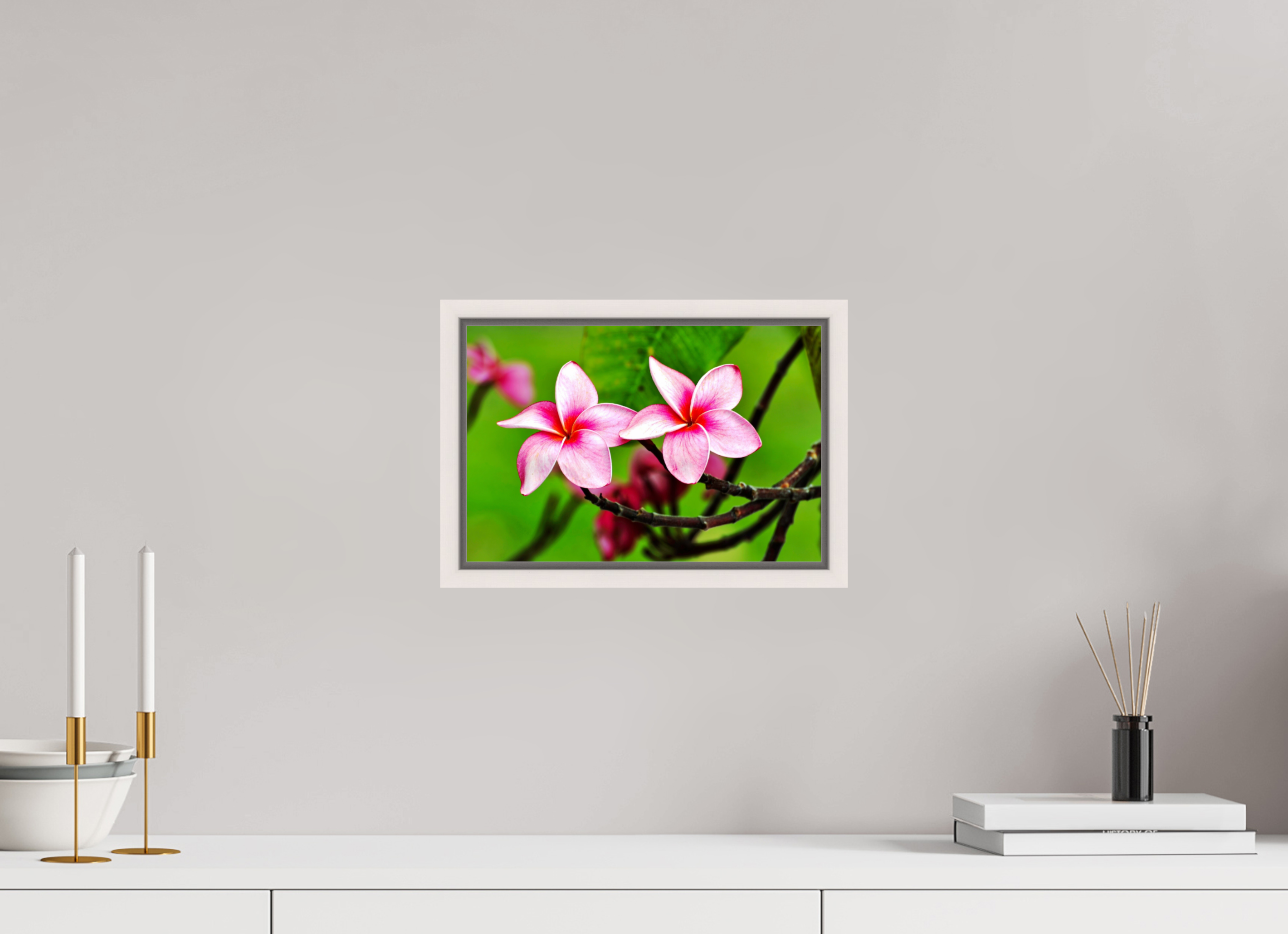 12 x 8″, Floater Frame, Basel 0.6", Maple White, Glossy Acrylic Glass Pink Plumeria Rubra (Frangipani)