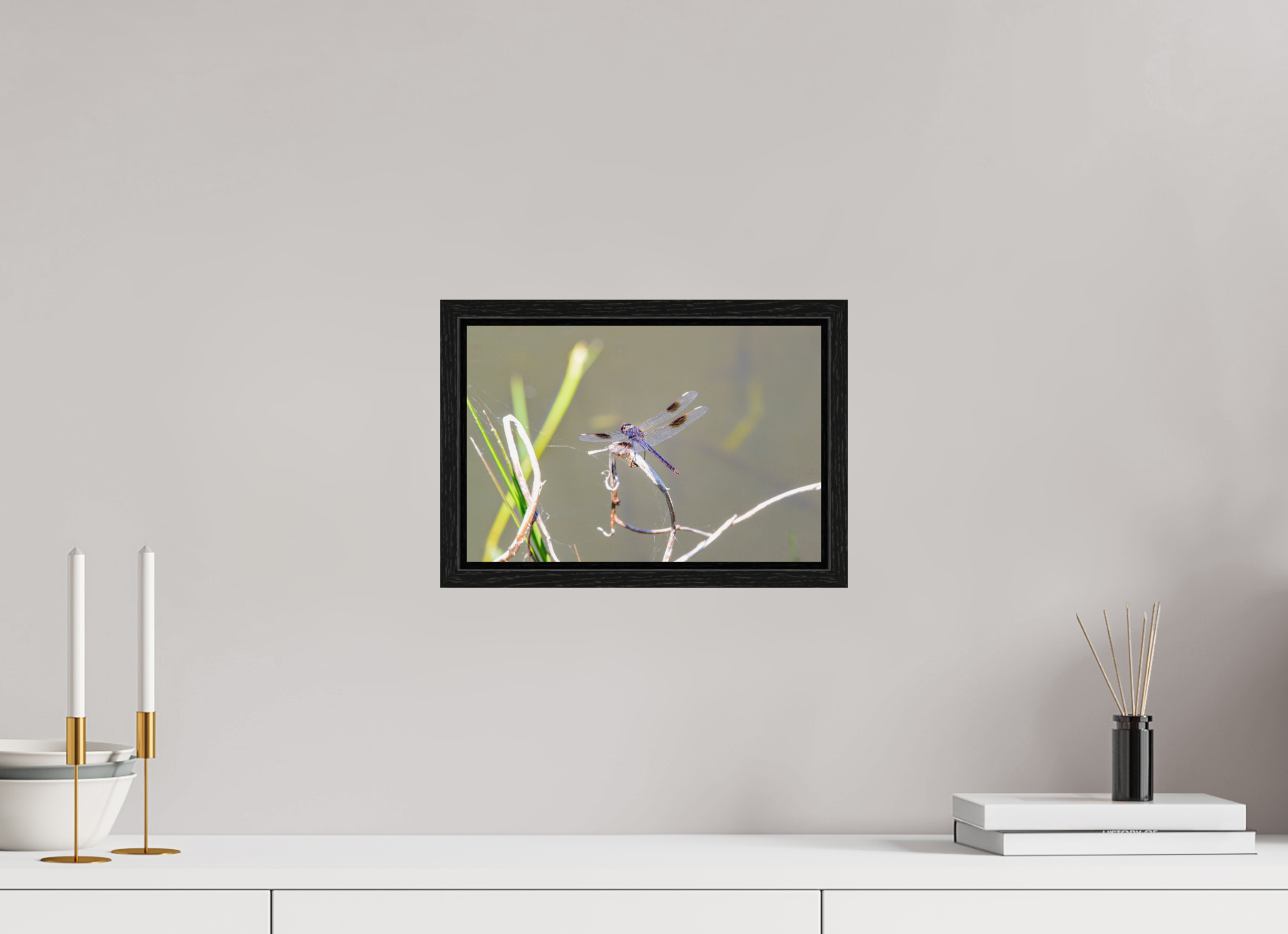 12 x 8″, Floater Frame, Basel 0.6", Black Oak, Glossy Acrylic Glass Pennant Dragonfly in the Marsh