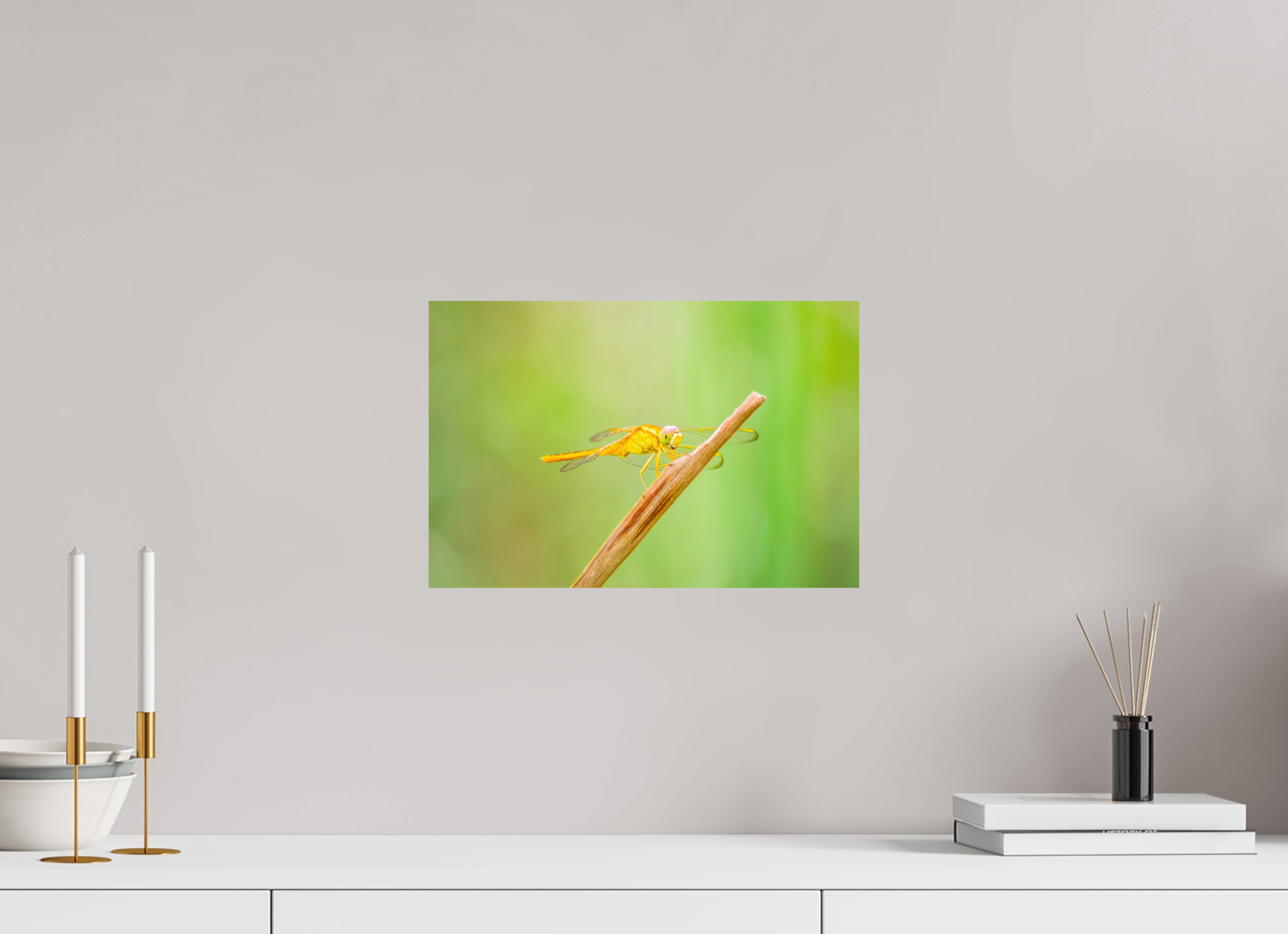 15 x 10″, Photo Print On Fuji Crystal DP II Sun-Drenched Golden Scarlet Skimmer