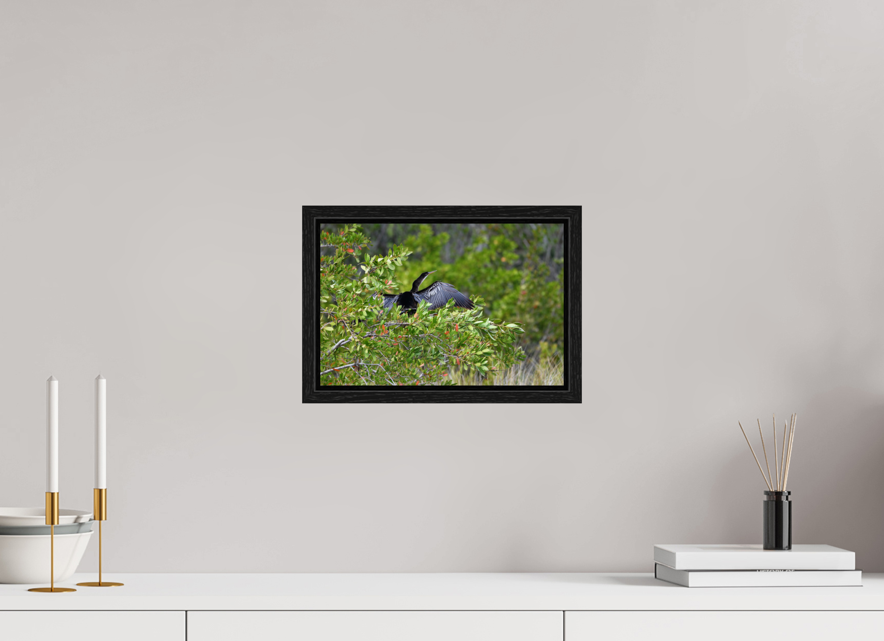 12 x 8″, Floater Frame Florida Anhinga Sunning