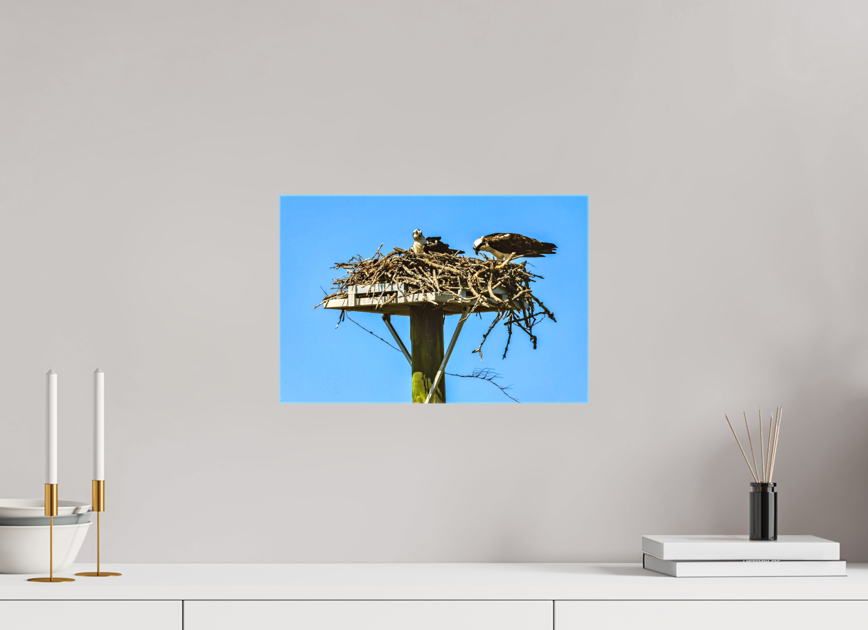 15 x 10″, Glossy Canvas on Stretcher Frame, 1,57" Wrapped Osprey Outlook