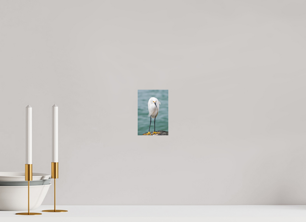 4 x 6″, Photo Print On Fuji Crystal DP II The Patient Hunter