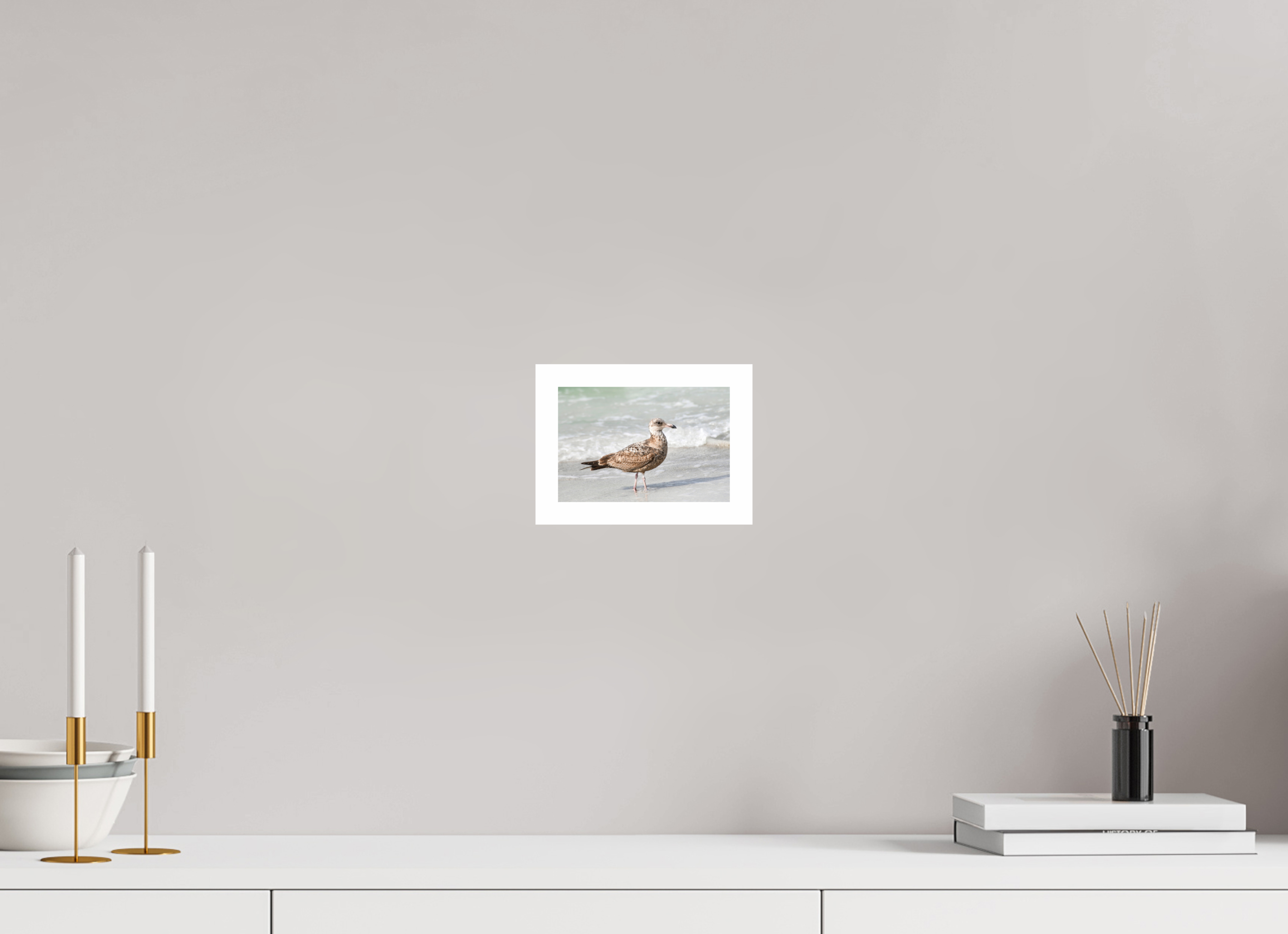 6 x 4″, Hahnemühle FineArt Pearl Print, .79" white border The Young Explorer: Immature American Herring Gull