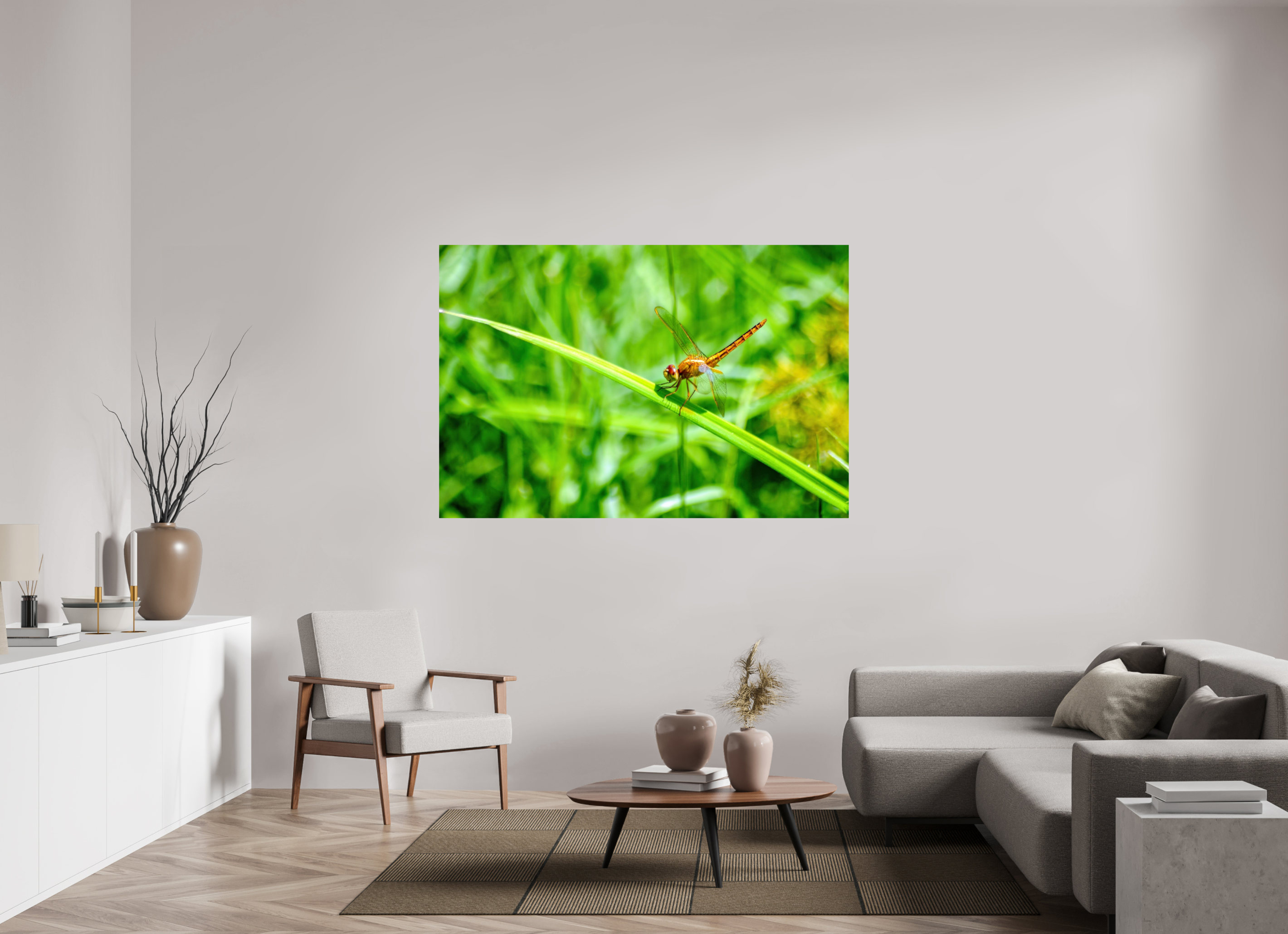 66 x 44″, Photo Print On Fuji Crystal DP II Female Scarlet Skimmer