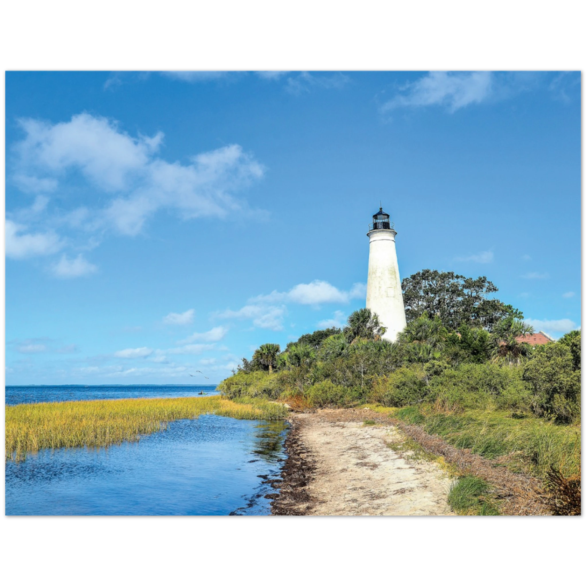cfc3df06-d6b7-4e56-9eff-209a44b36f45