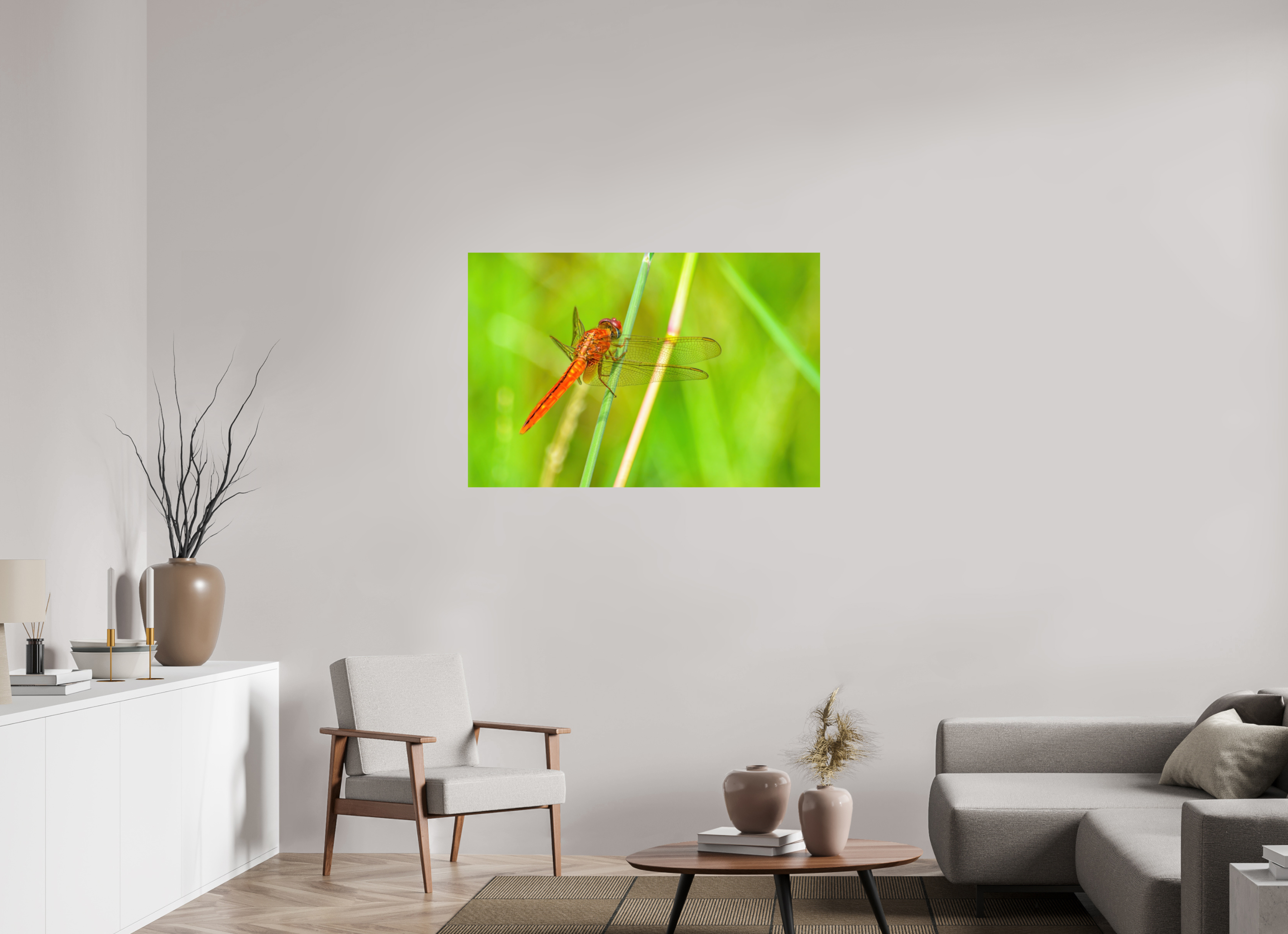 45 x 30″, Photo Print On Fuji Crystal DP II Resting Scarlet Skimmer
