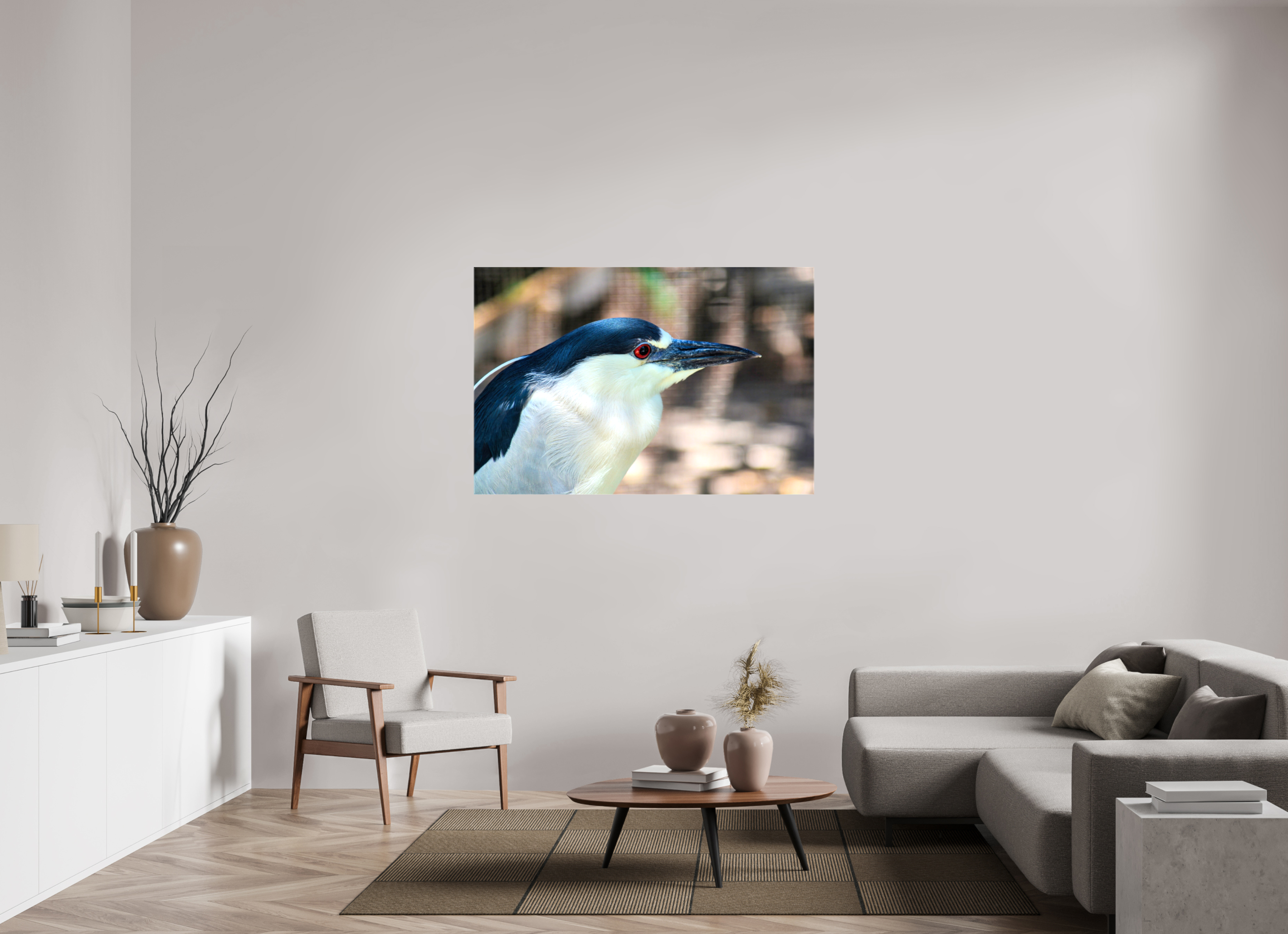 54 x 36″, Glossy Canvas on Stretcher Frame, 1,57" Wrapped Black-crowned Night Heron