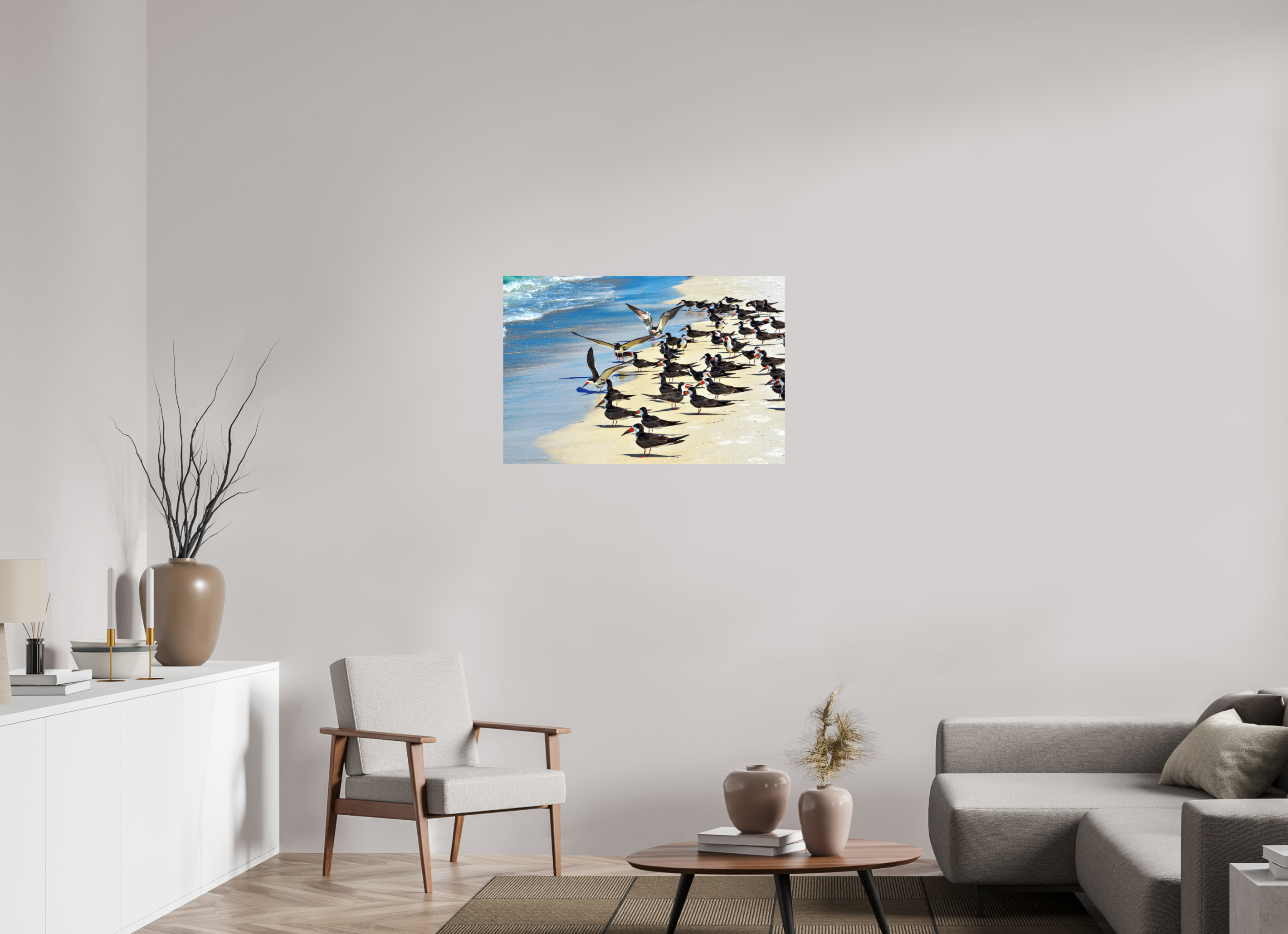 36 x 24″, Photo Print On Fuji Crystal DP II Shoreline Social: Black Skimmer Colony