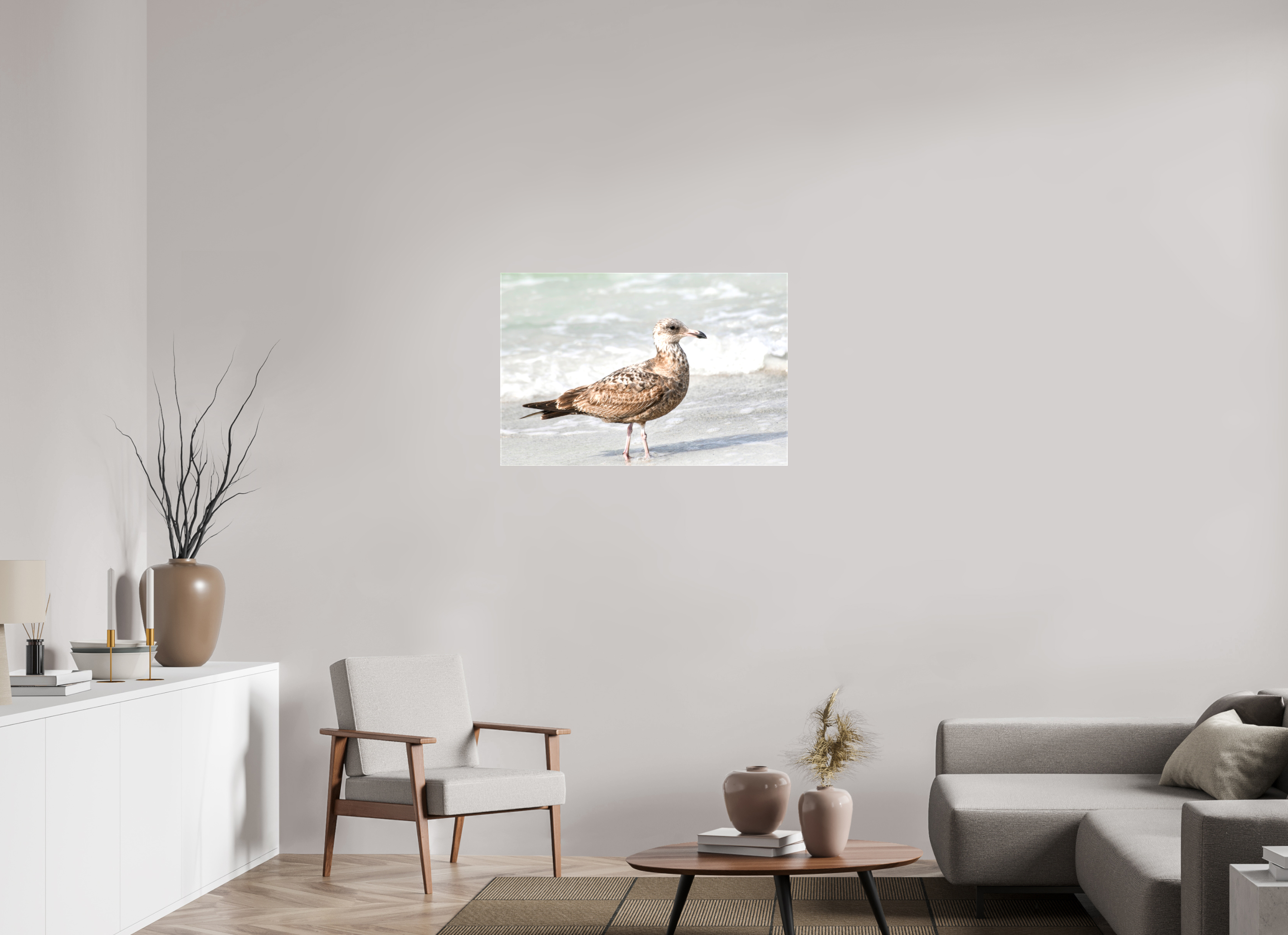 36 x 24″, Glossy Canvas on Stretcher Frame, 1,57" Wrapped The Young Explorer: Immature American Herring Gull