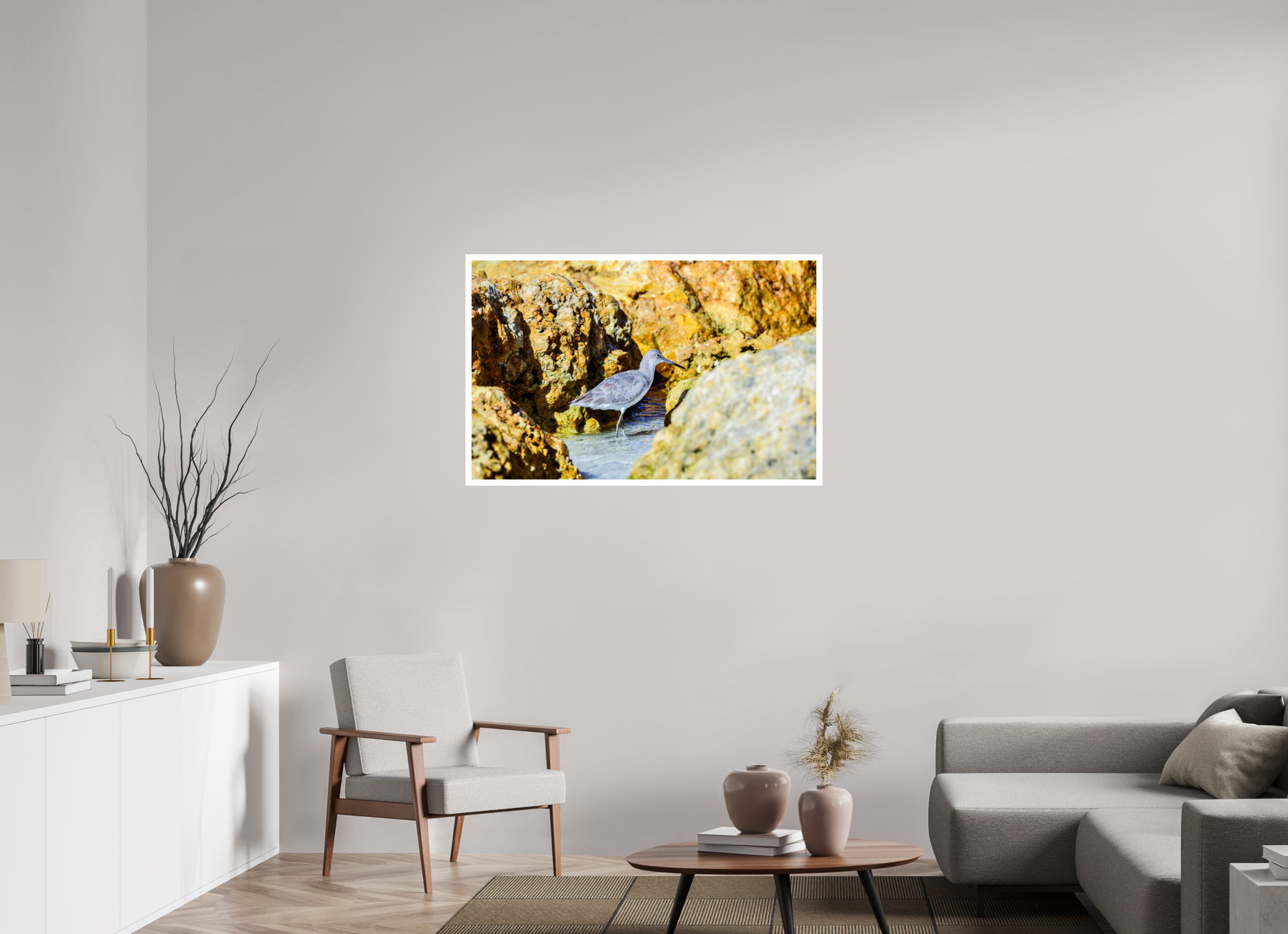 44.1 x 28″, Hahnemühle FineArt Pearl Print, .79" white border The Hiding Willet