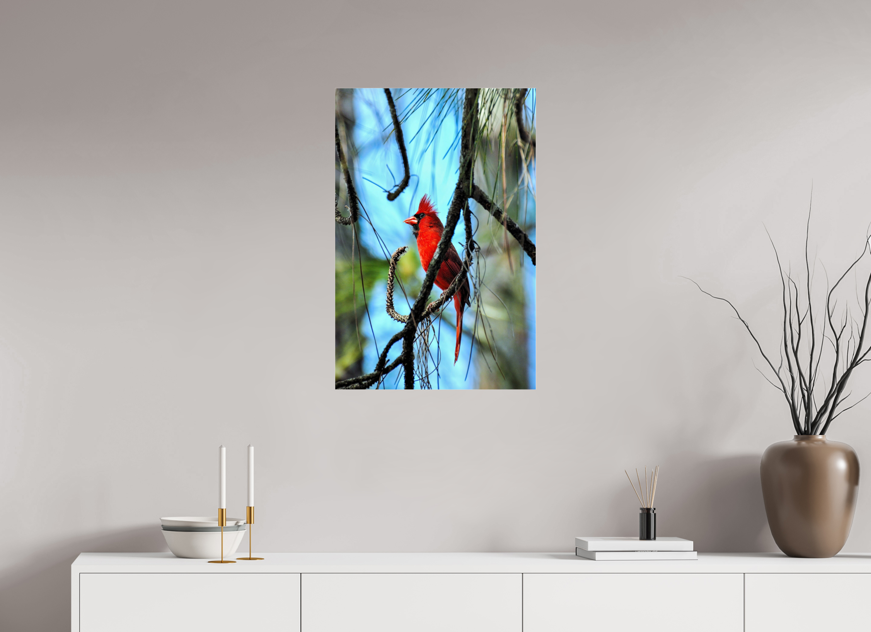 20 x 30″, Photo Print Fuji Crystal Archive Under Acrylic Glass The Corkscrew Cardinal