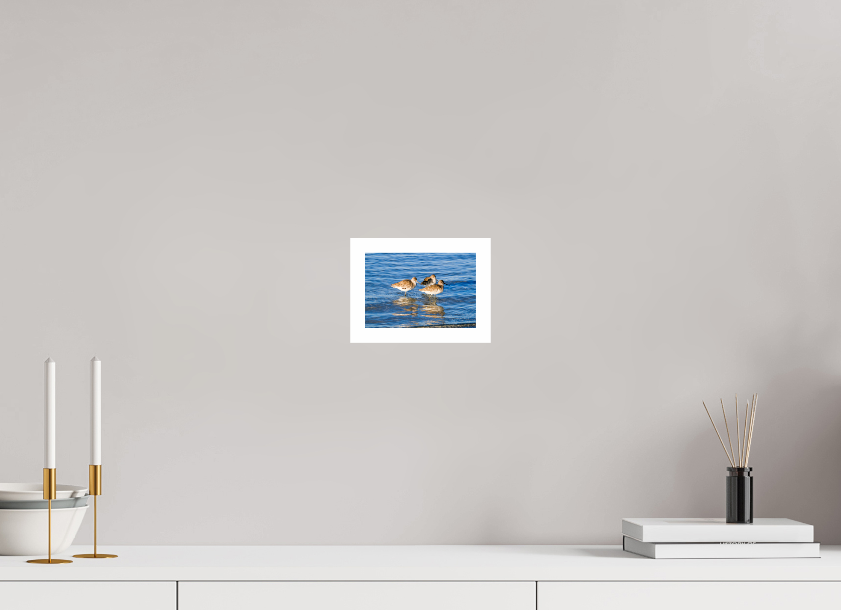 5.9 x 4″, Hahnemühle FineArt Pearl Print, .79" white border The Shoreline Trio: Willets in the Surf