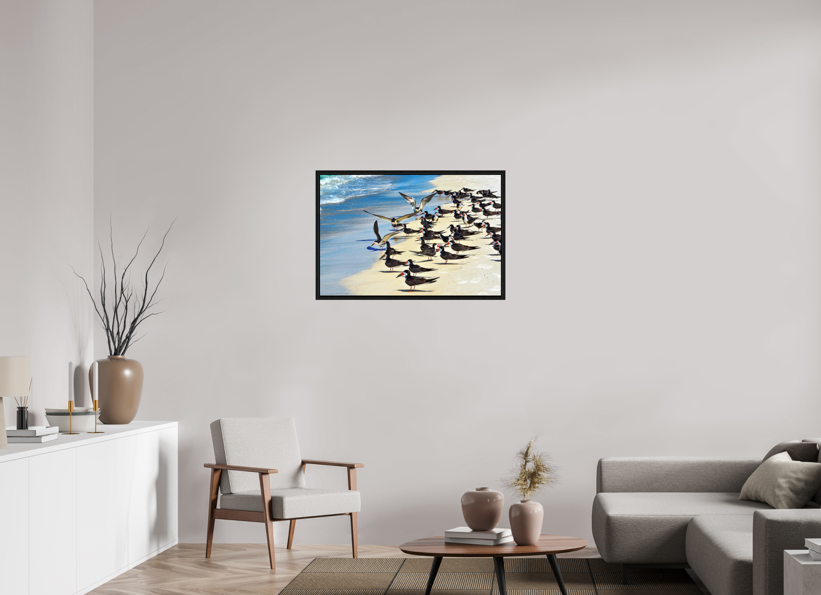 36 x 24″, Floater Frame, Basel 0.6", Black Oak, Glossy Acrylic Glass Shoreline Social: Black Skimmer Colony