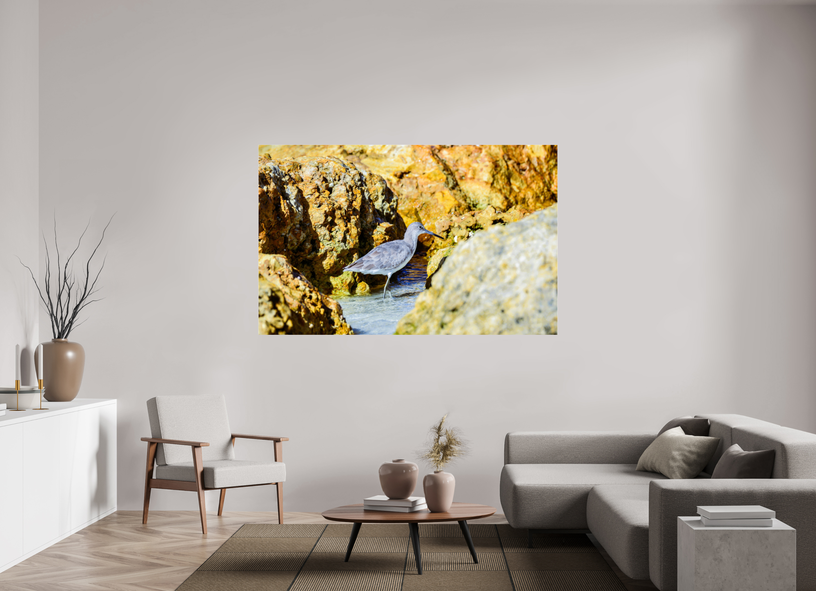 73.9 x 47″, Photo Print Under Acrylic Glass The Hiding Willet
