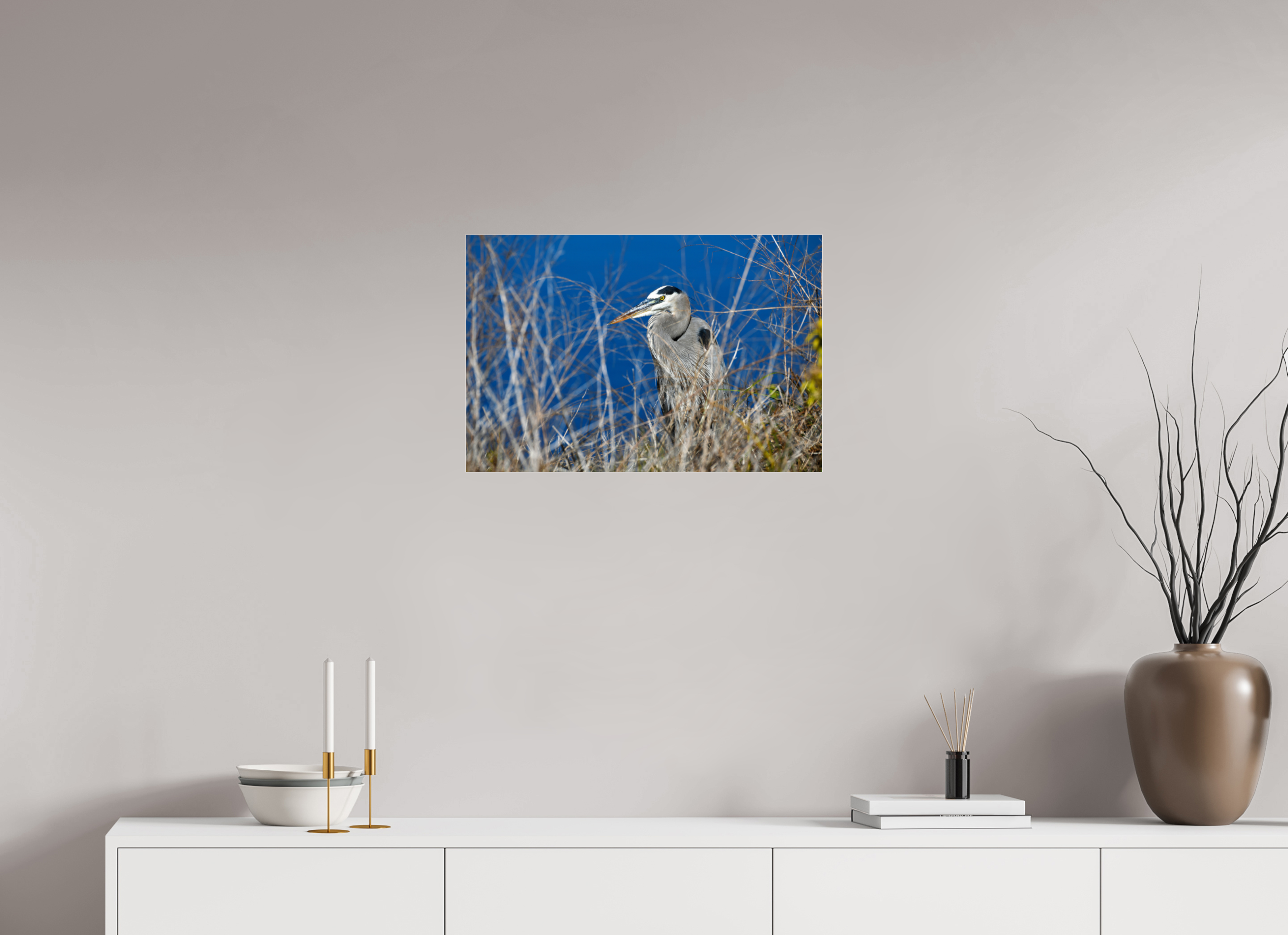 24 x 16″, Metallic Photo Print Under Acrylic Glass Hidden Majesty: Great Blue Heron