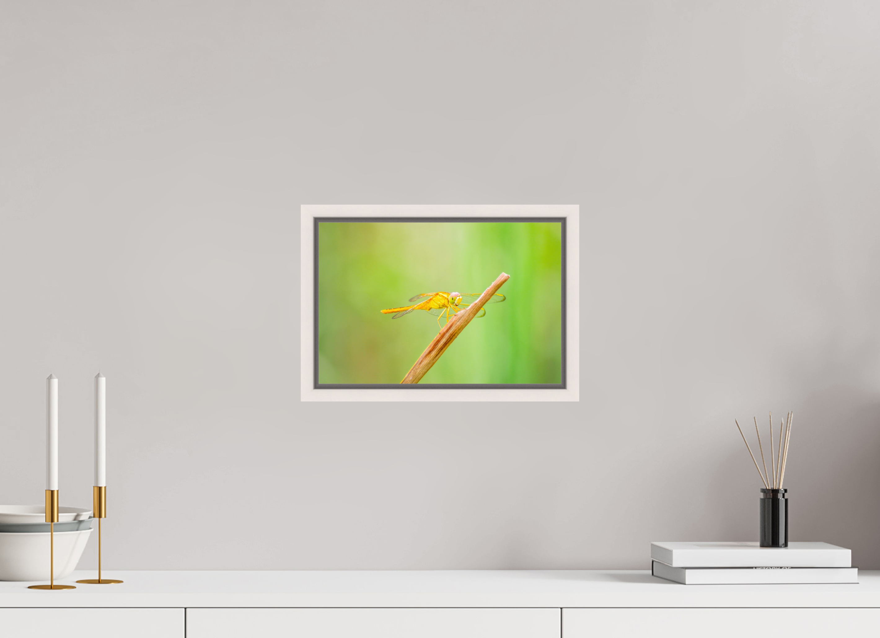 12 x 8″, Floater Frame, Basel 0.6", Maple White, Glossy Acrylic Glass Sun-Drenched Golden Scarlet Skimmer