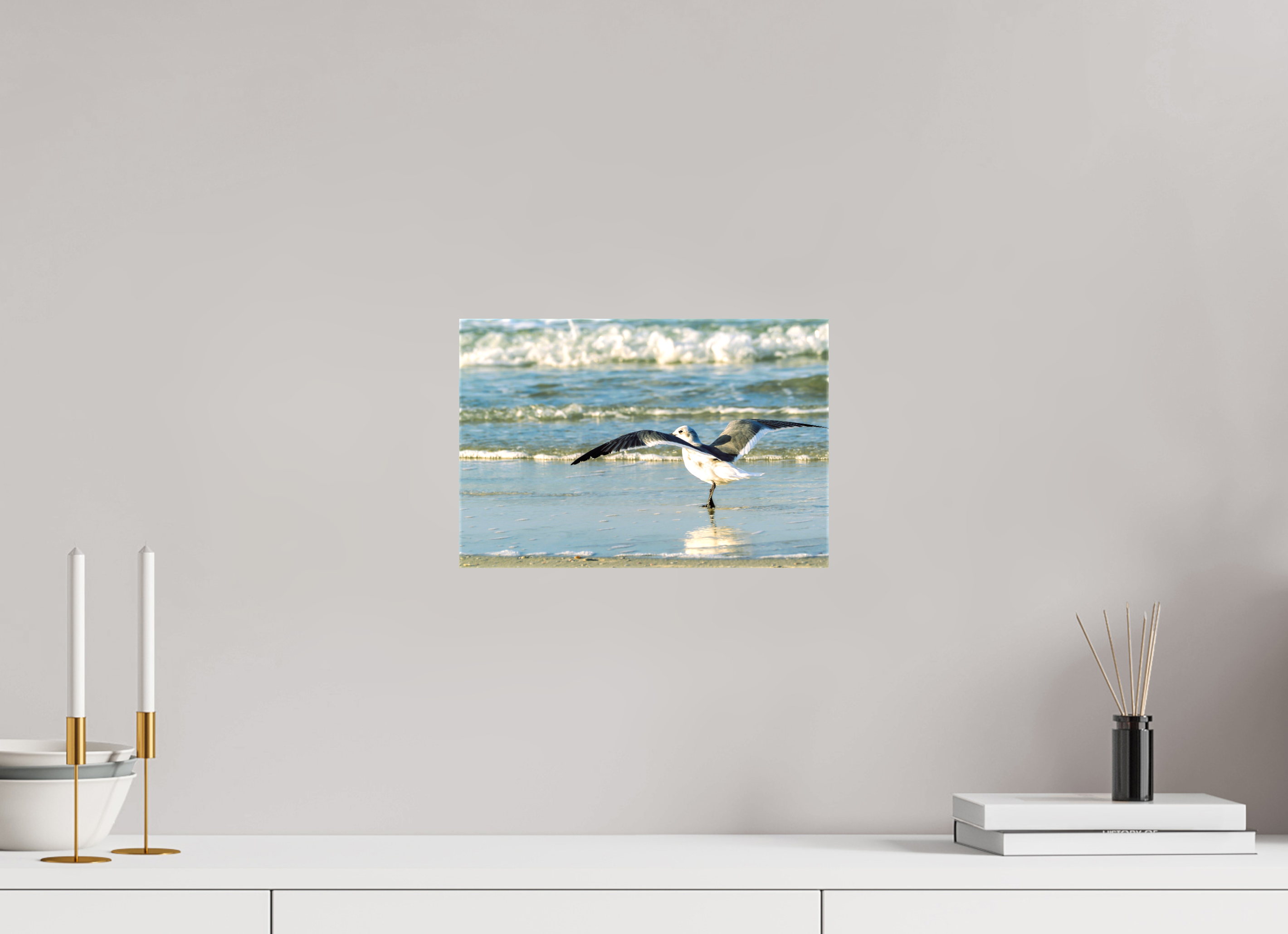 12 x 8″, Glossy Canvas on Stretcher Frame, 1,57" Wrapped Laughing Gull in Motion