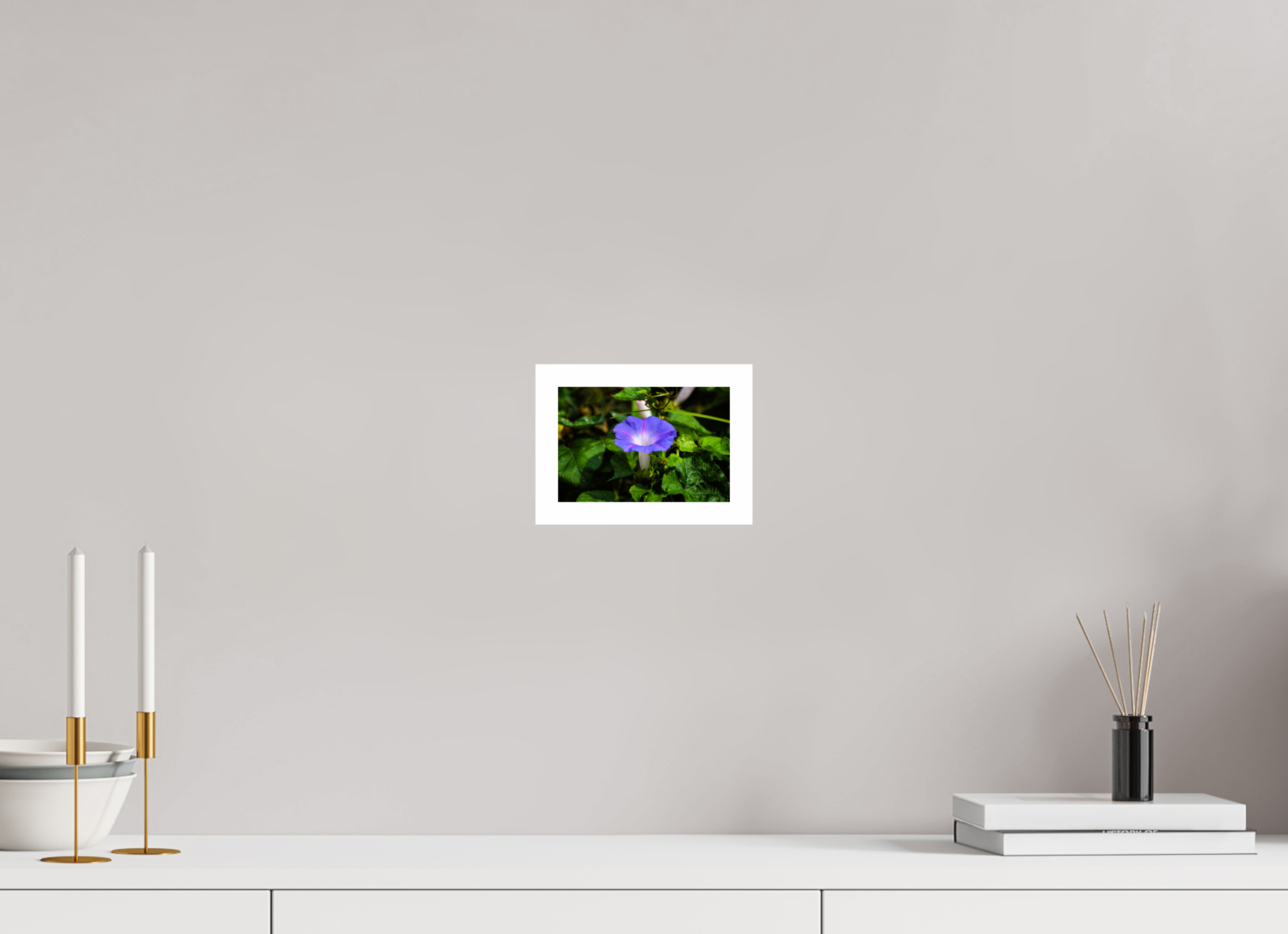 6 x 4″, Hahnemühle FineArt Pearl Print, .79" white border Heavenly Blue Morning Glory