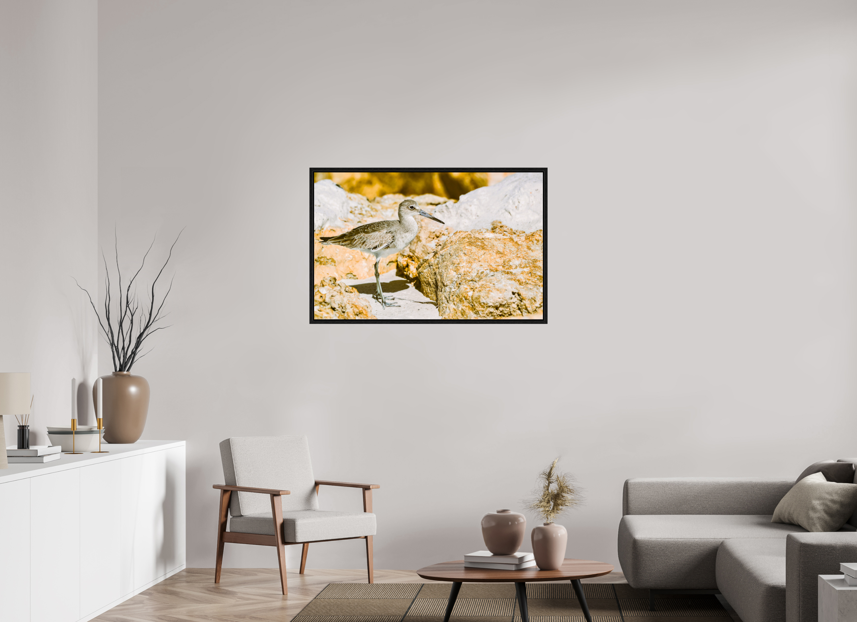 43.6 x 28″, Floater Frame The Sunny Willet