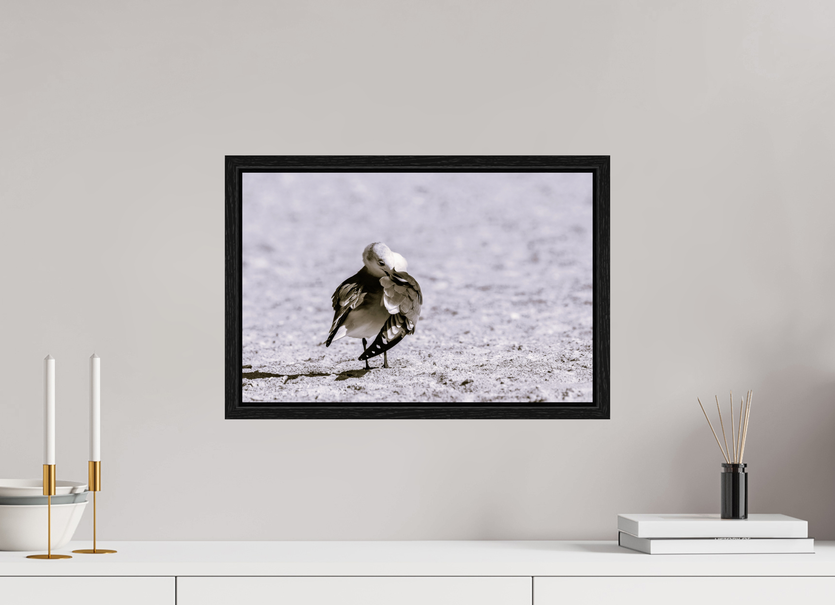 18.3 x 12″, Floater Frame A Monochrome Gull Preening