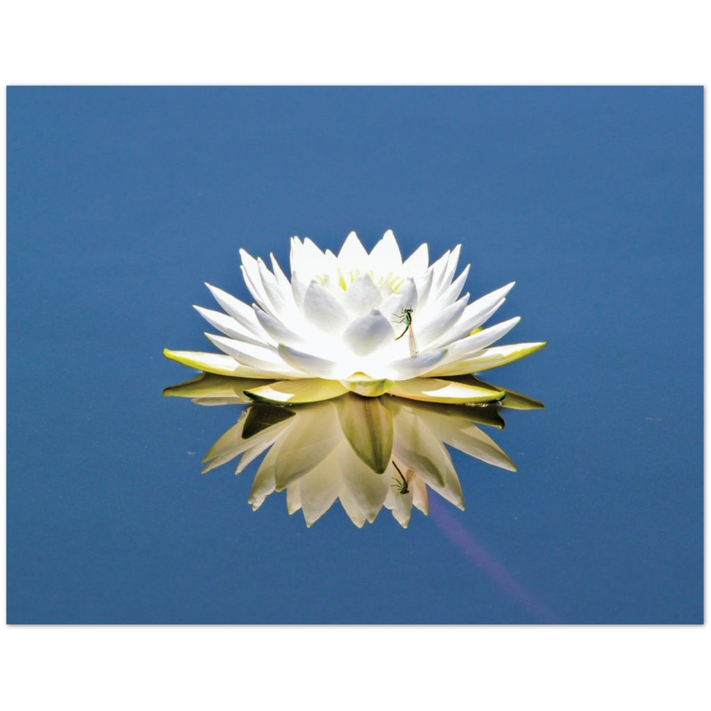 d99fabf1-818a-40f1-8ca3-e63e8c1cf543