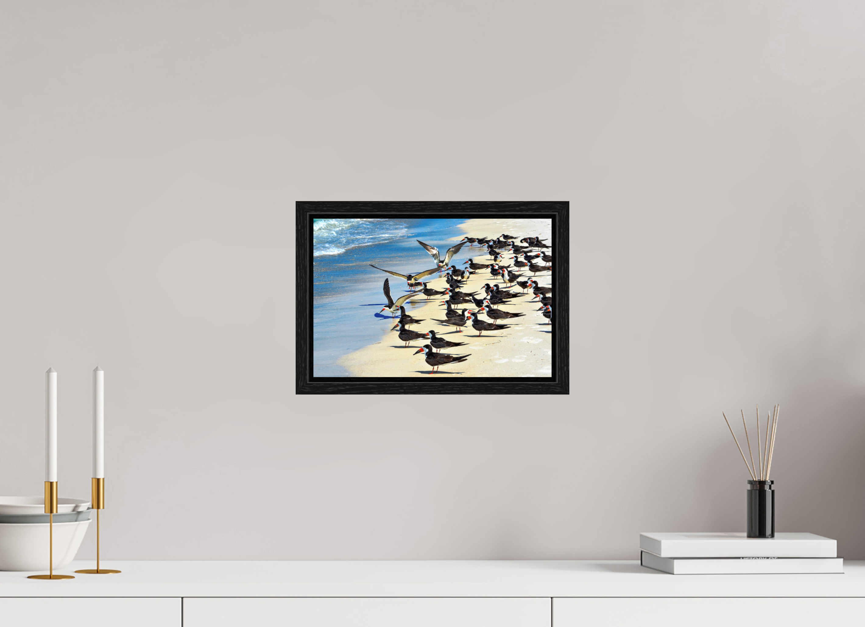 12 x 8″, Floater Frame, Basel 0.6", Black Oak, Glossy Acrylic Glass Shoreline Social: Black Skimmer Colony