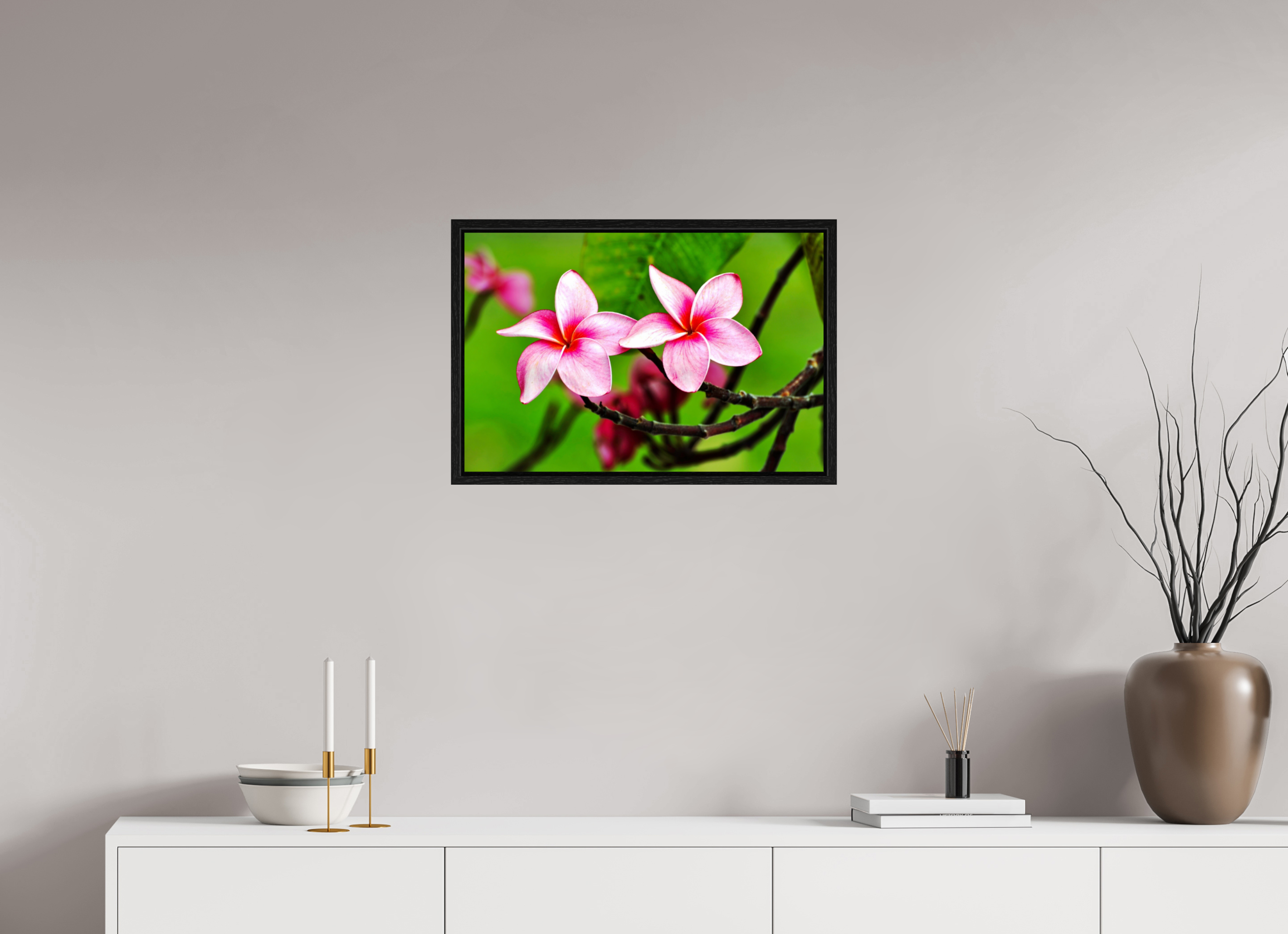 24 x 16″, Floater Frame, Basel 0.6", Black Oak, Glossy Acrylic Glass Pink Plumeria Rubra (Frangipani)