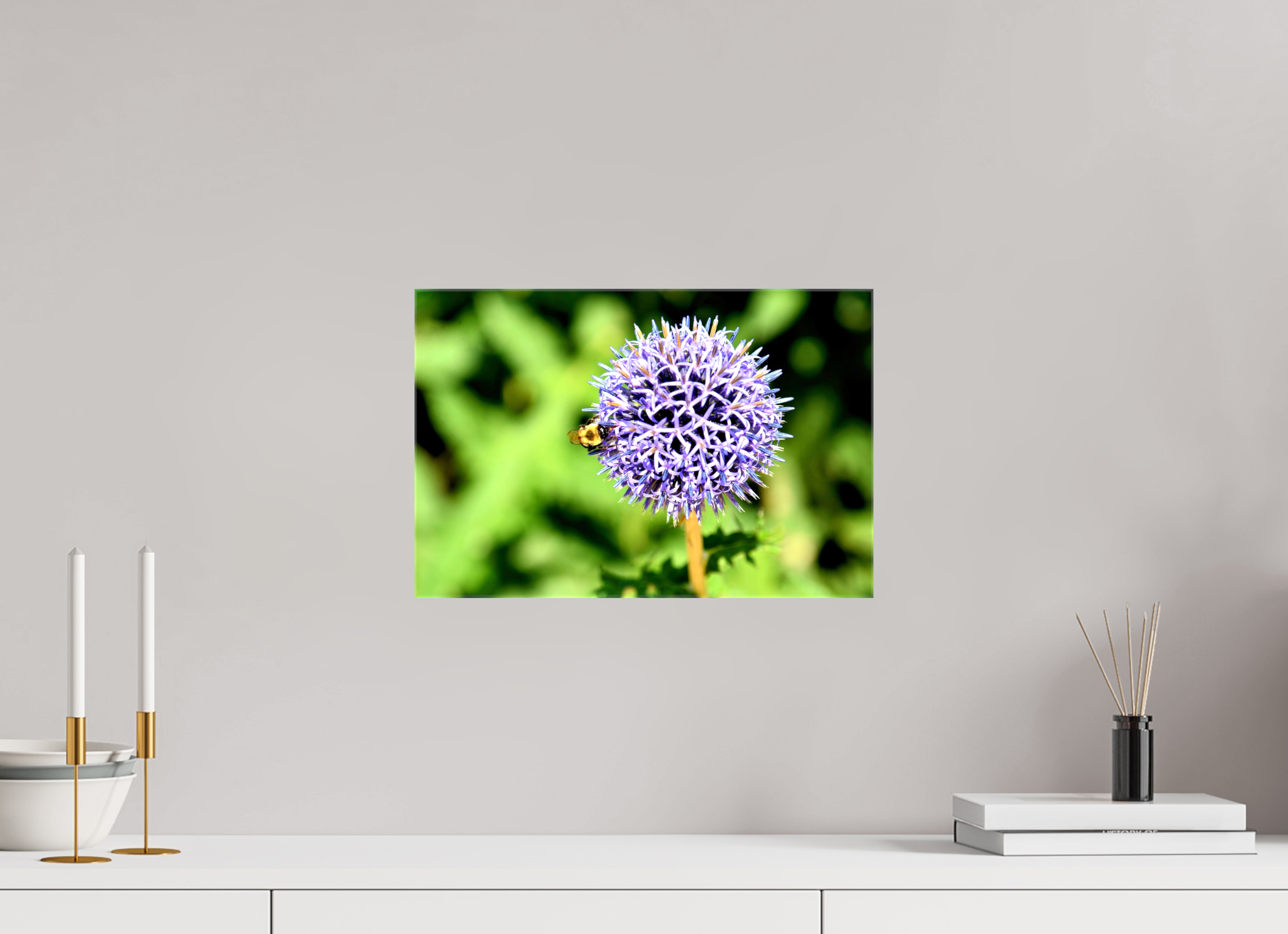 15 x 10″, Glossy Canvas on Stretcher Frame, 1,57" Wrapped The Bee & The Globe Thistle (Echinops)