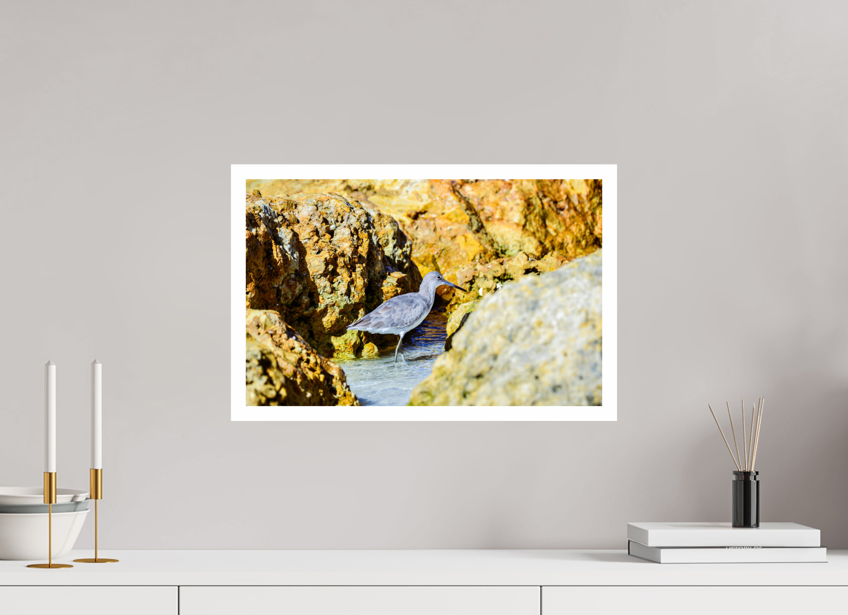 18.9 x 12″, Hahnemühle FineArt Pearl Print, .79" white border The Hiding Willet