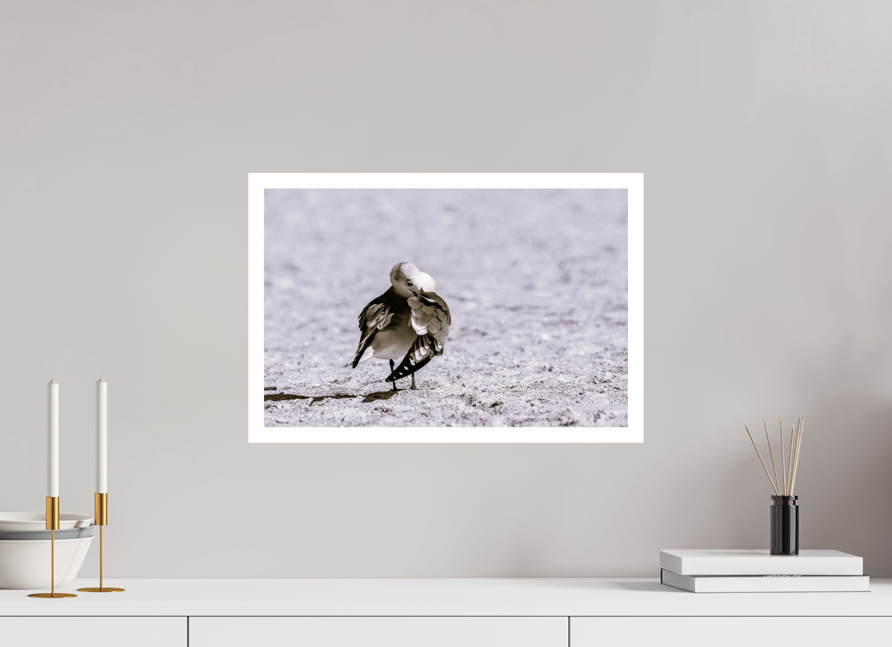 18.3 x 12″, Hahnemühle FineArt Pearl Print, .79" white border Preening Gull