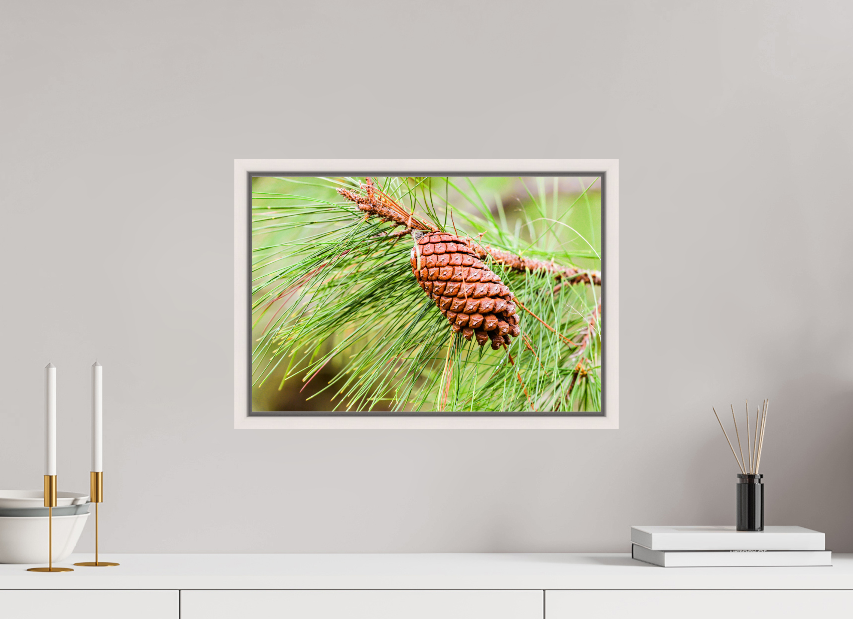 17.8 x 12″, Floater Frame, Basel 0.6", Maple White, Glossy Acrylic Glass The Longleaf Pine Cone