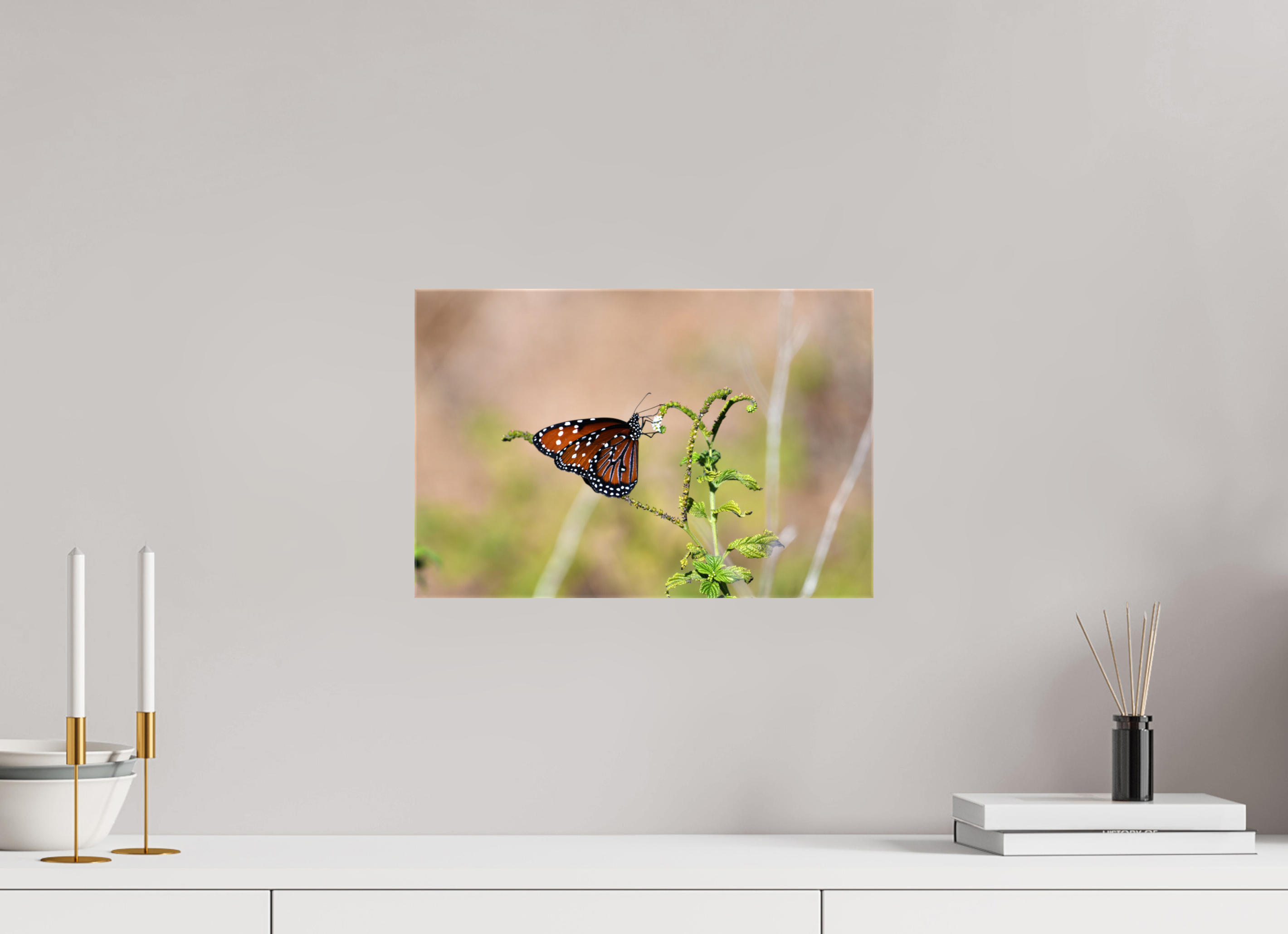 15 x 10″, Glossy Canvas on Stretcher Frame, 1,57" Wrapped Queen Butterfly